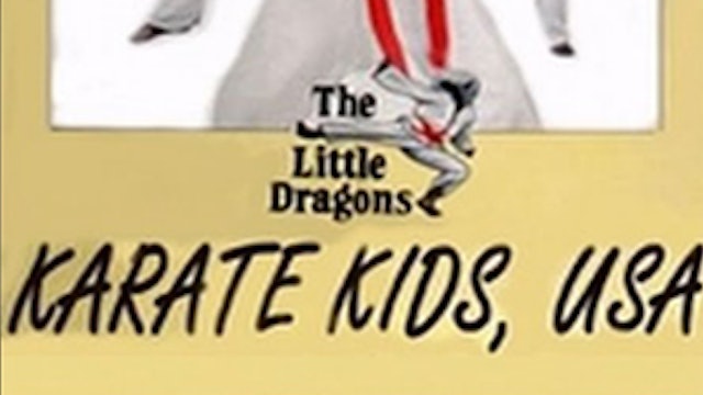 Karate Kids USA (aka The Little Dragons)