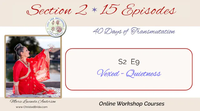 S2 E9     Vexed - Quietness