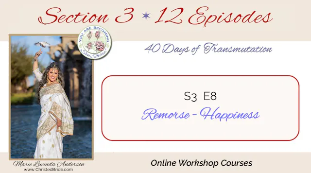 S3 E8     Remorse - Happiness