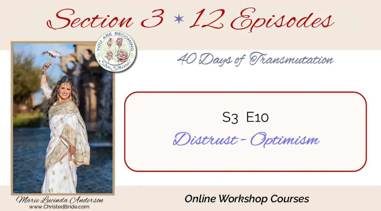 S3 E10   Distrust - Optimism