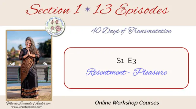 S1 E3    Resentment - Pleasure