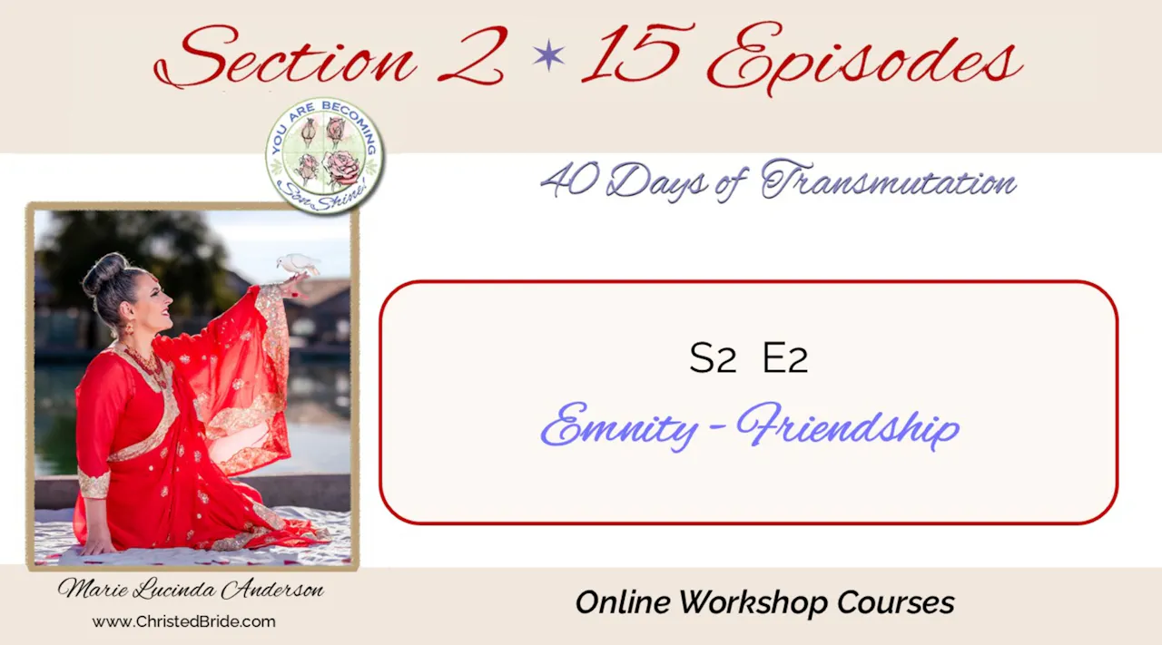 S2 E2     Emnity - Friendship