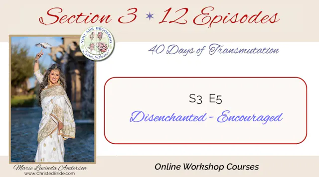 S3 E5     Disenchanted - Encouraged