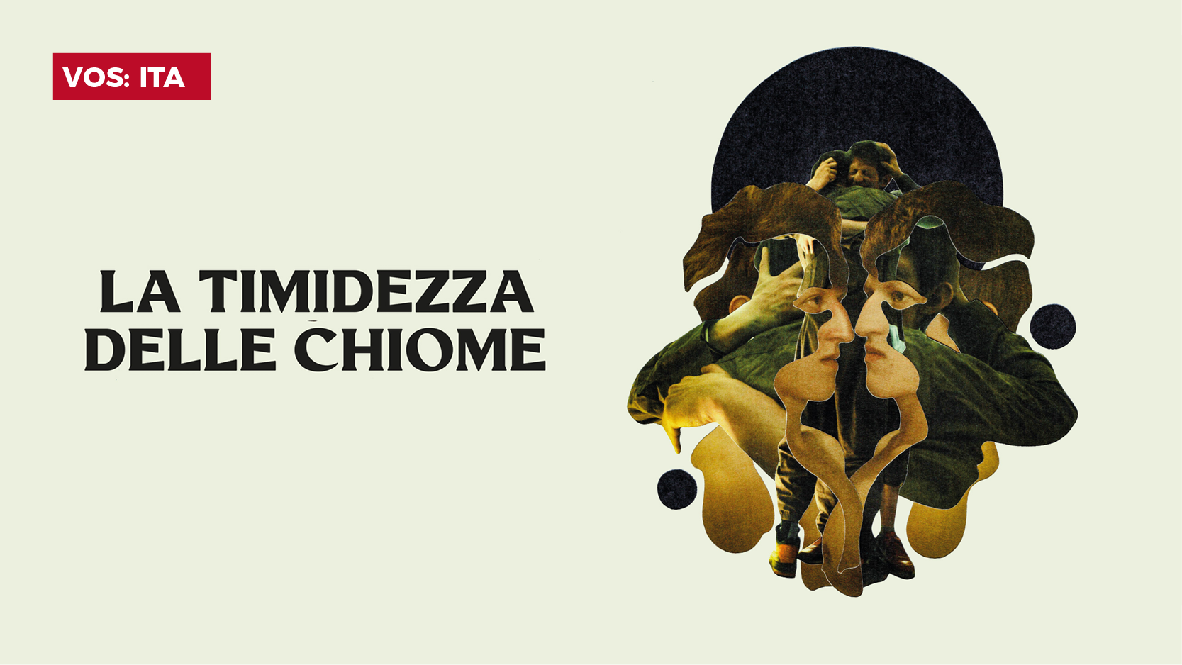 La Timidezza Delle Chiome