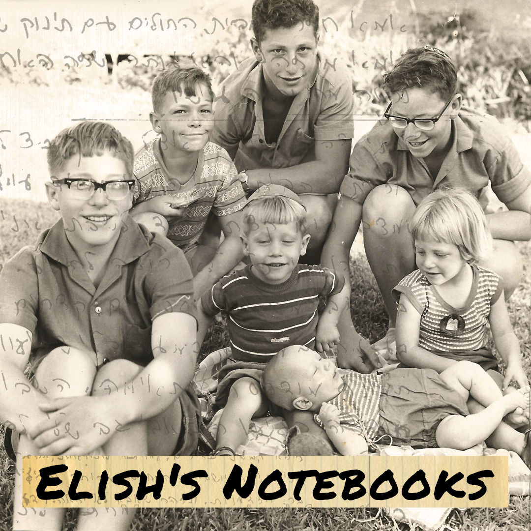 Elish's Notebooks