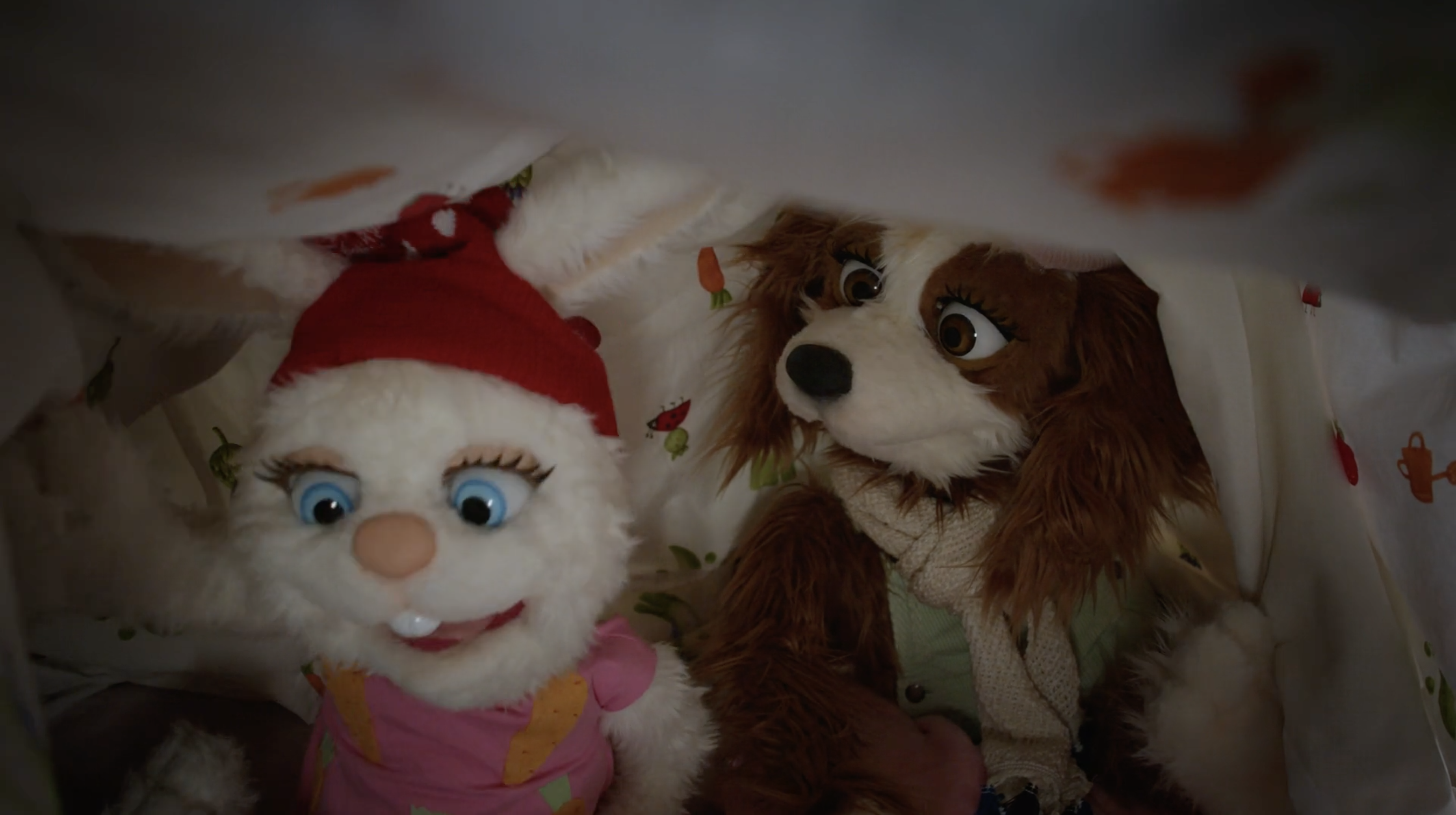 Eli the Cat - Episode 8 - Here Comes the Thunder