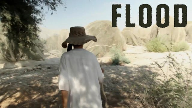 Flood