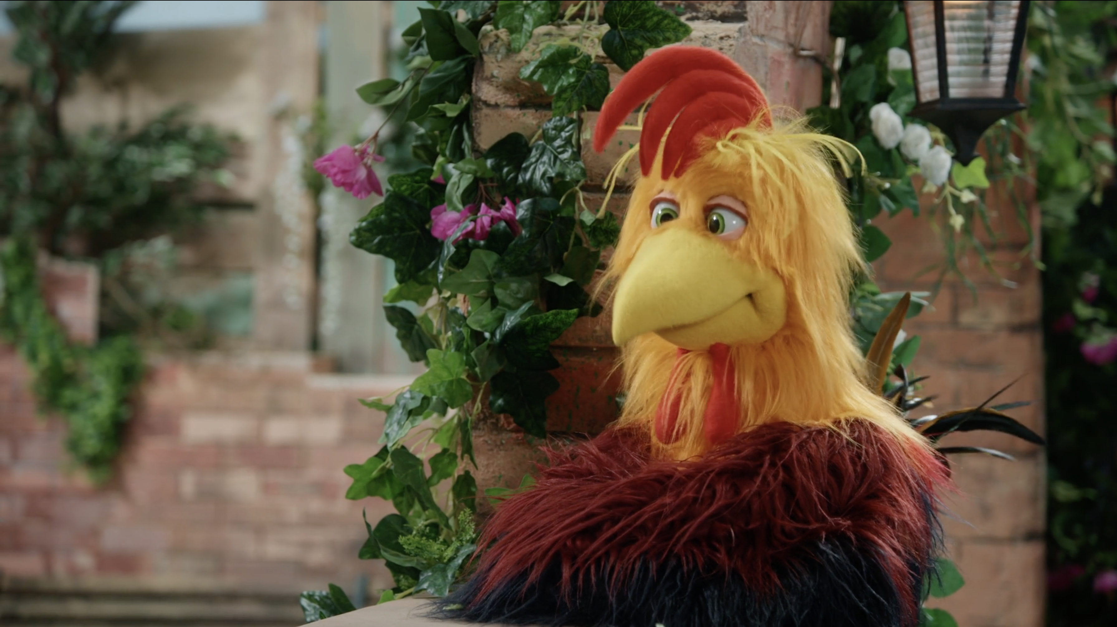 Eli the Cat - Episode 7 - Such a Friend