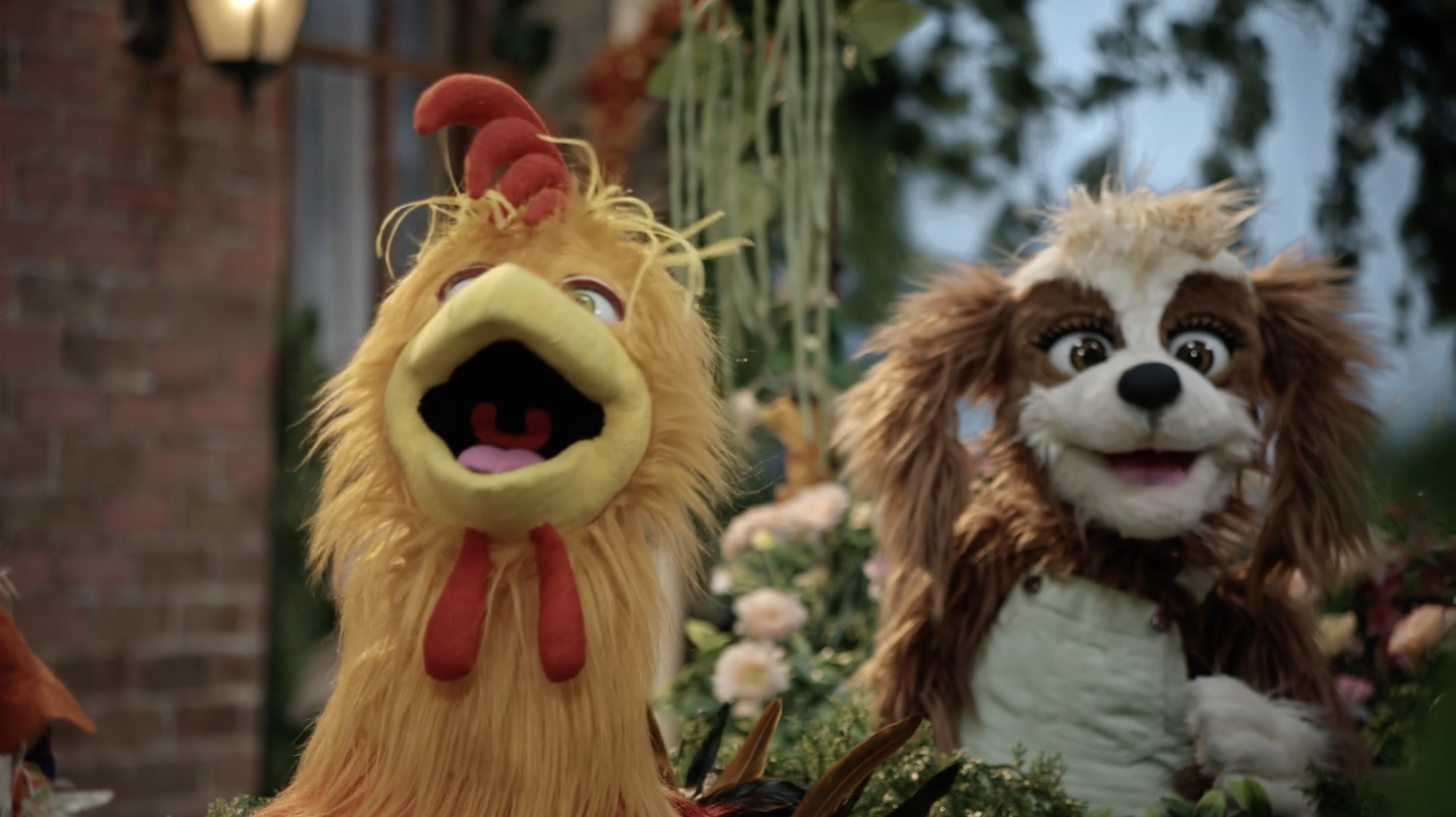 Eli the Cat - Episode 10 - Hide and Seek