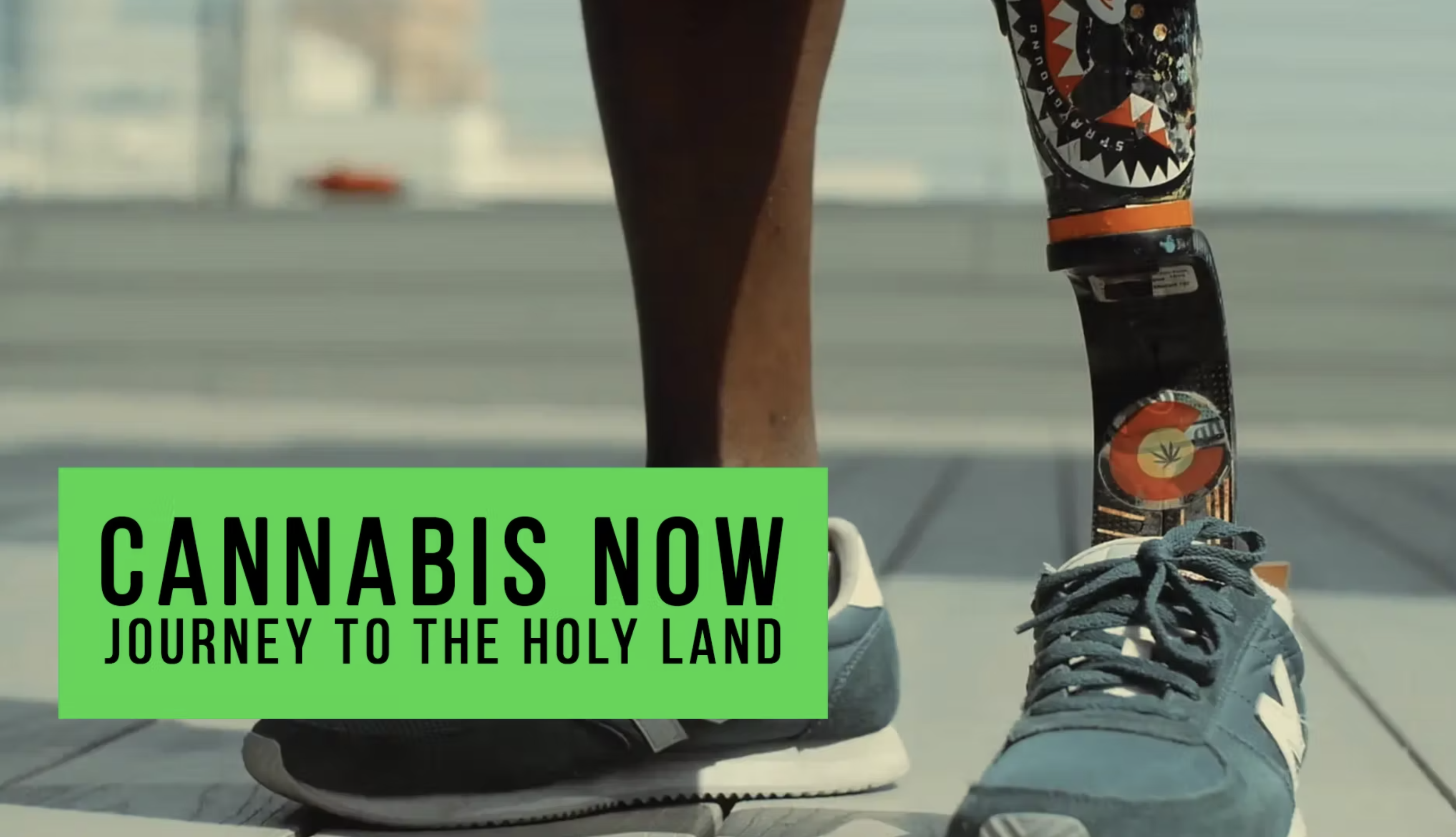 Cannabis Now - Journey to the Holy Land
