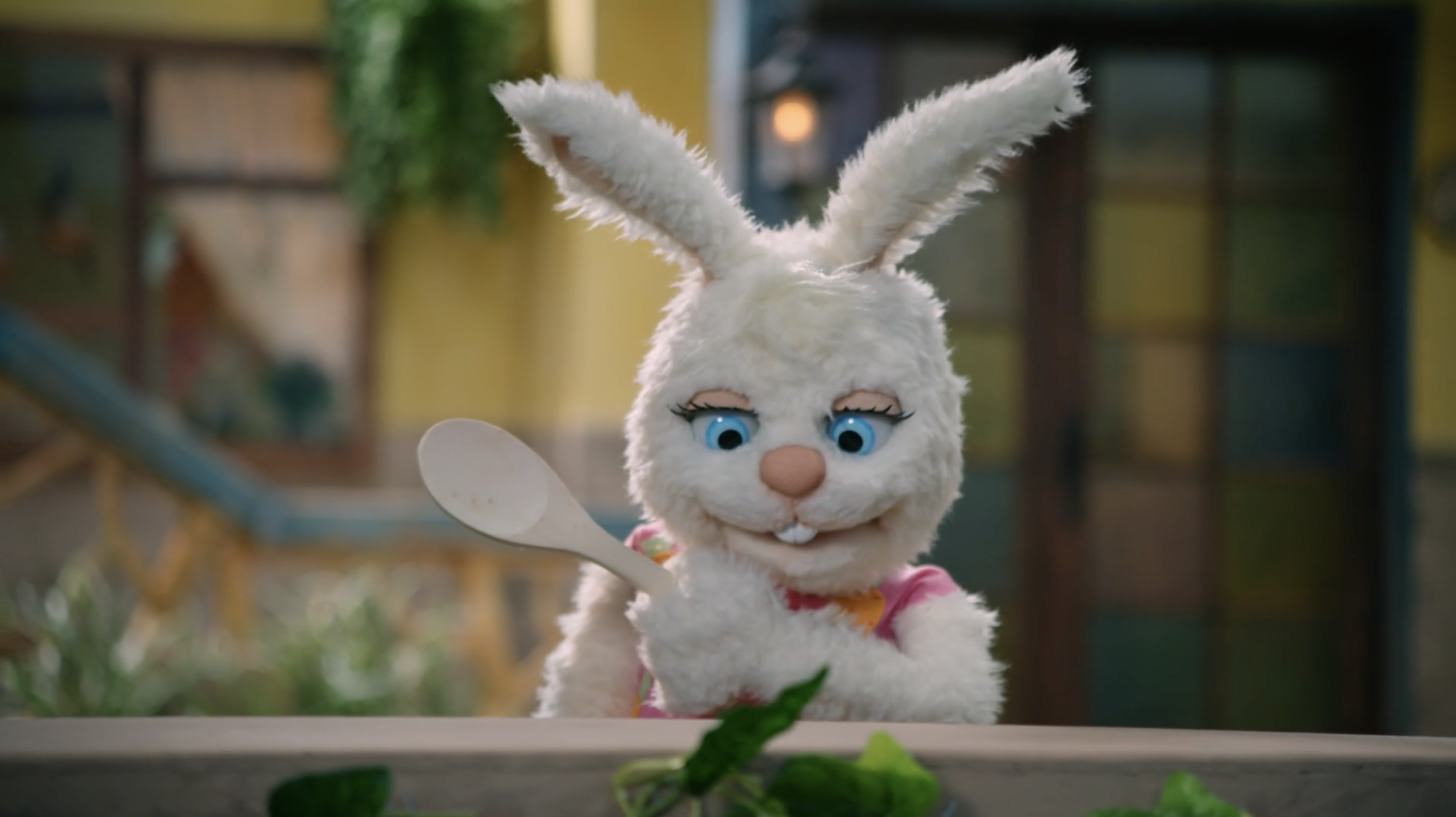 Eli the Cat - Episode 6 - The Kitchen Orchestra