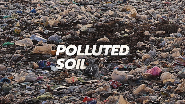 Below the Fold - Polluted Soil