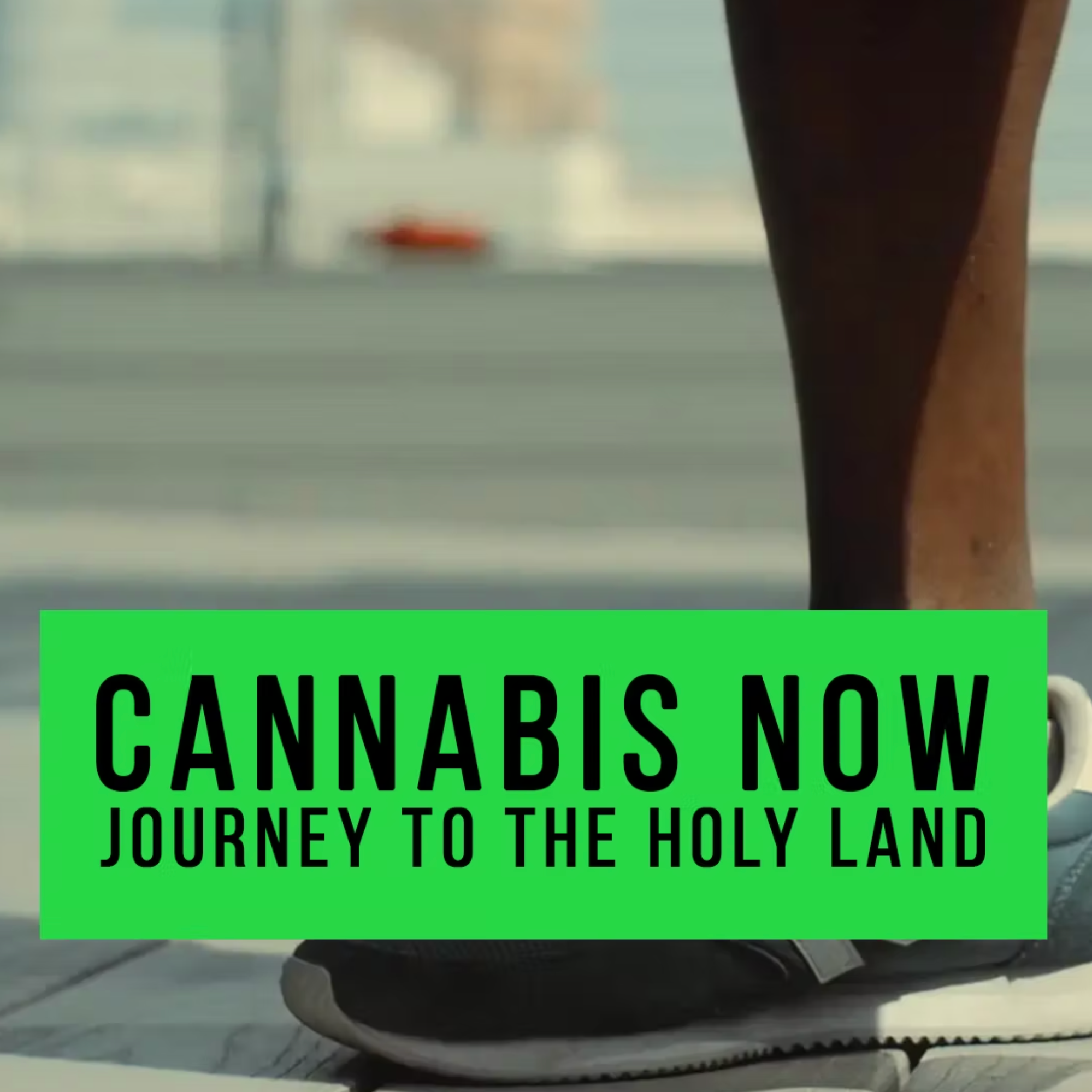 Cannabis Now - Journey to the Holy Land