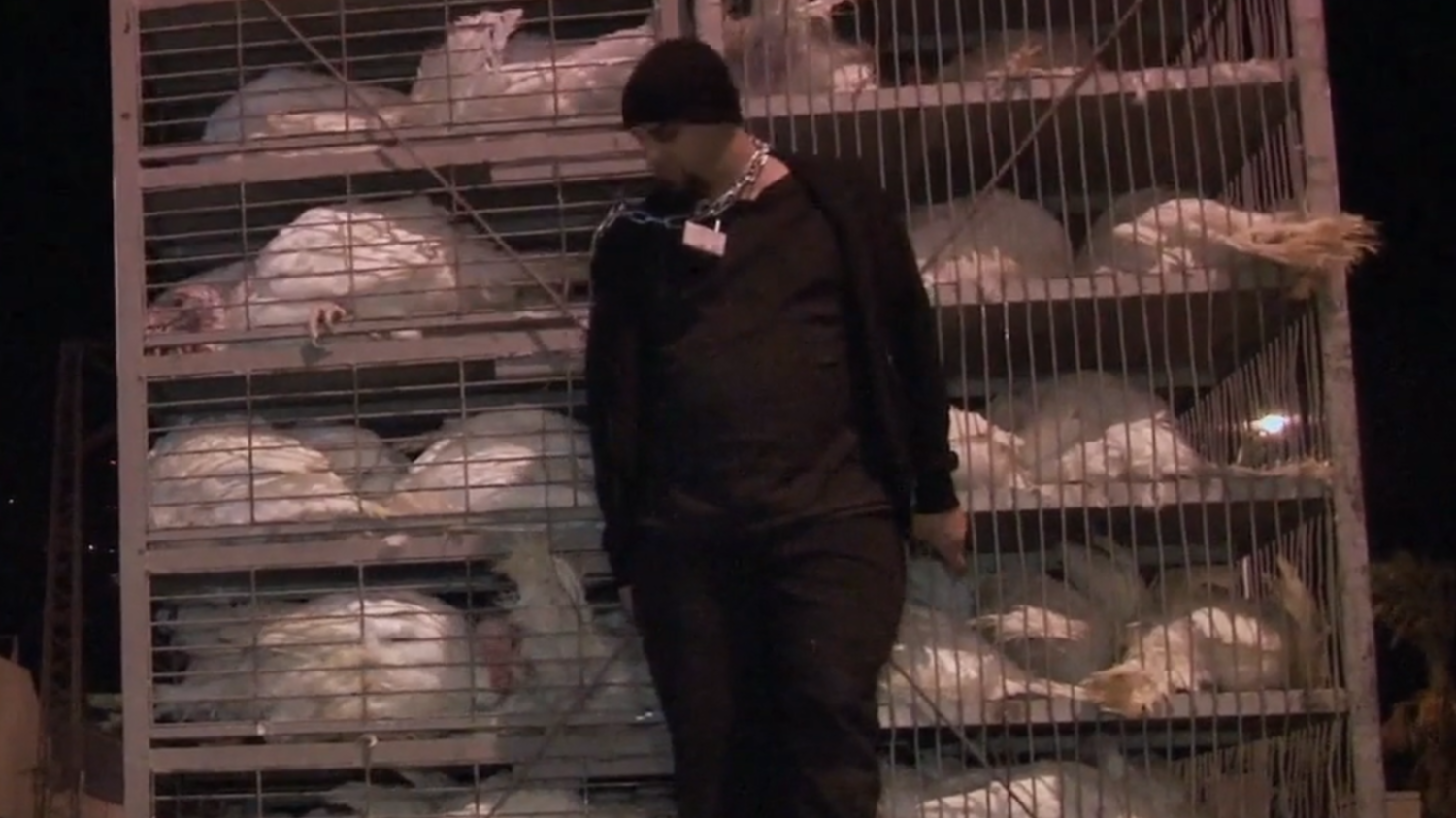 Life According to Ohad 