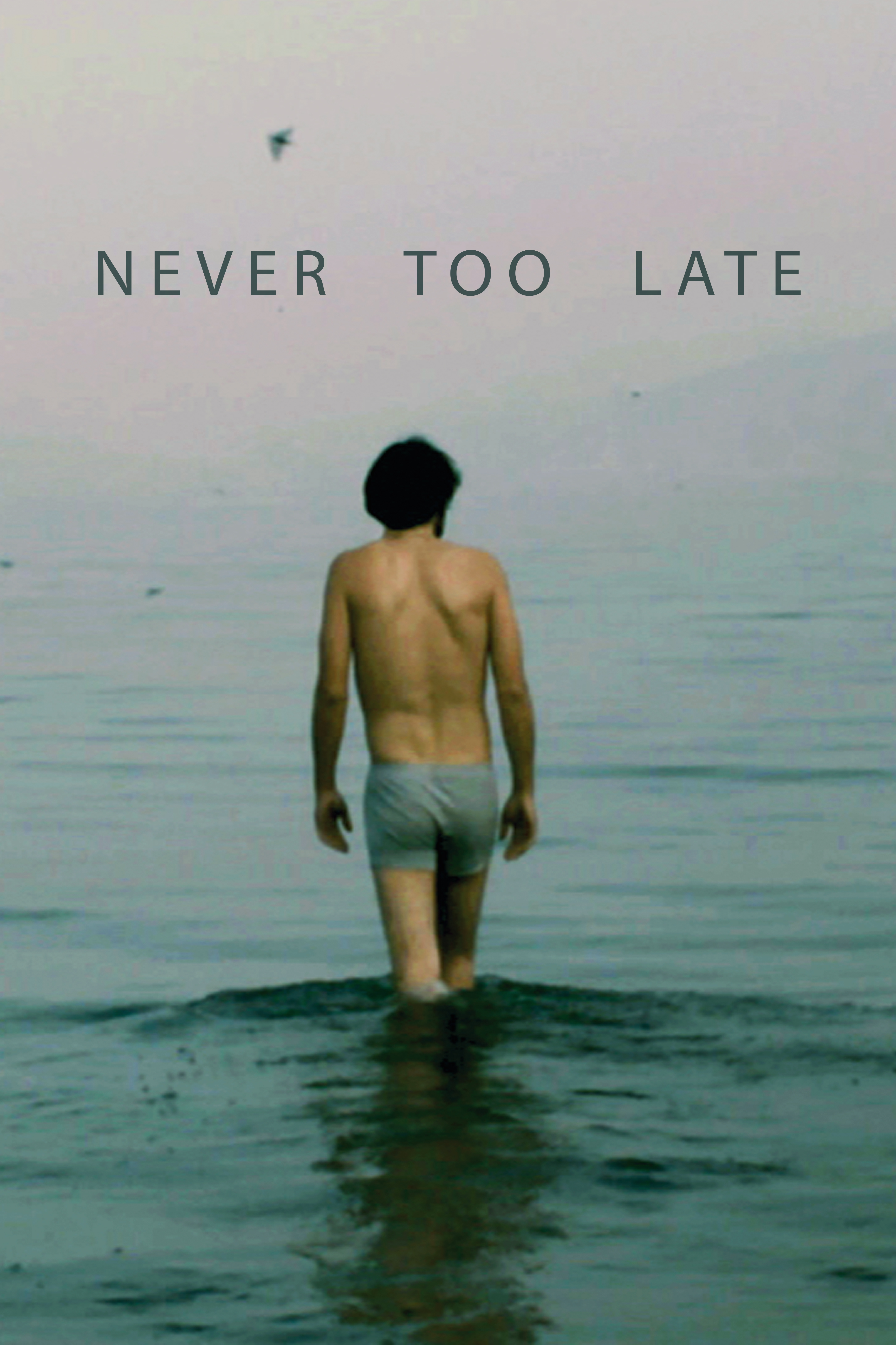 Never Too Late