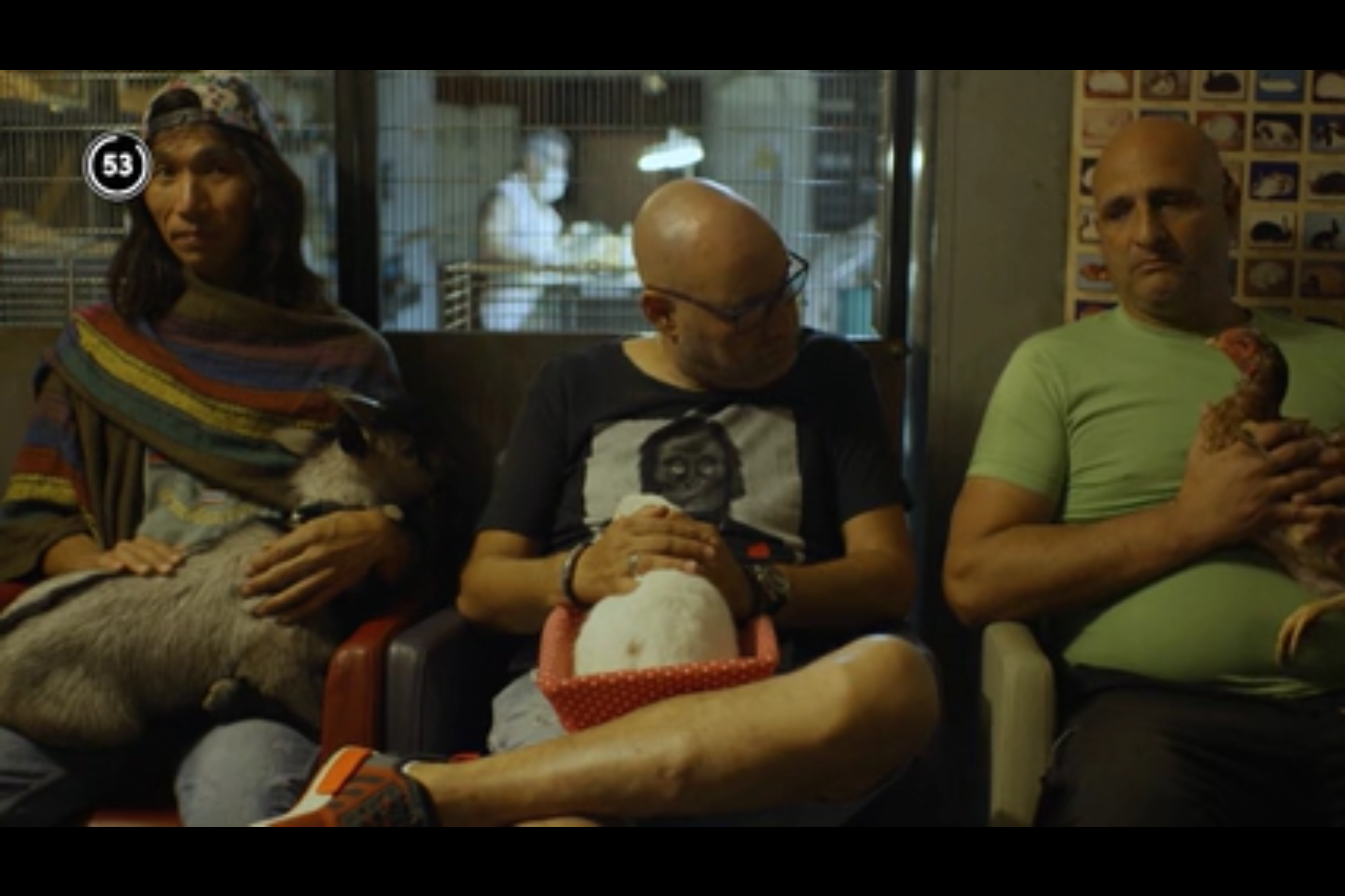 My Life in 60 Seconds - Season 1, Episode 6 - The Rabbit