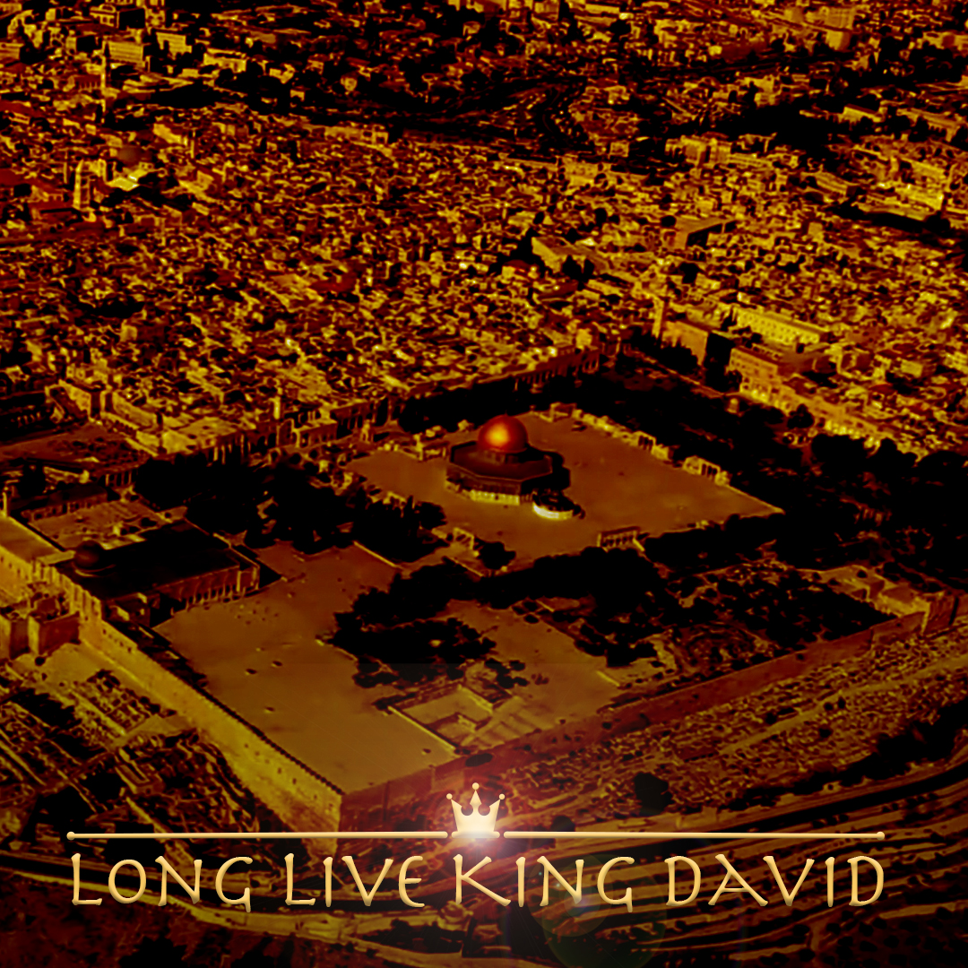 Long Live King David