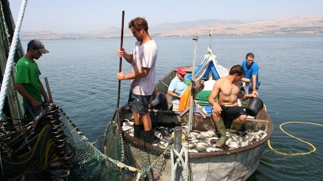 The Taste of Israel - Episode 2 - From the Judean Hills to Galilee