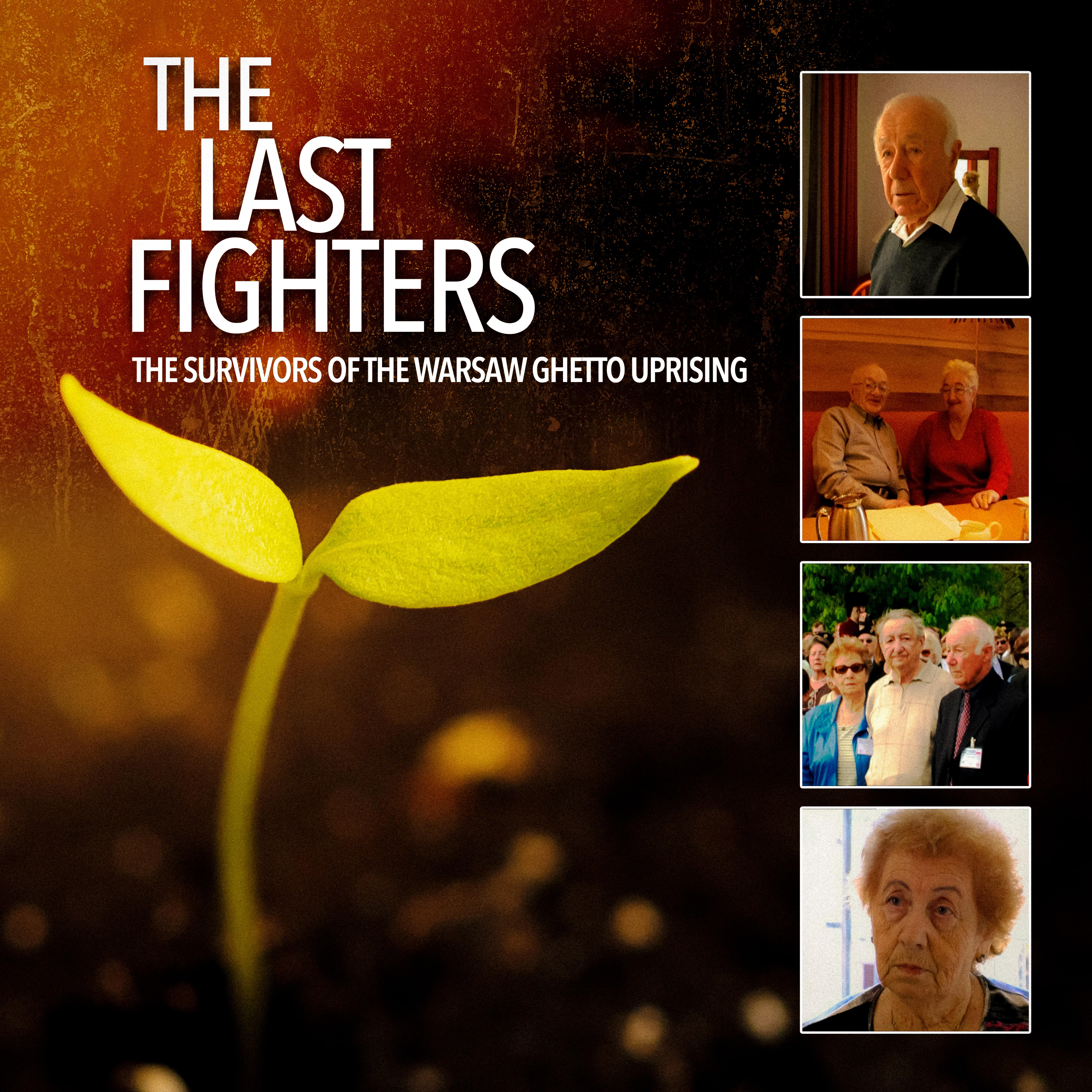 The Last Fighters