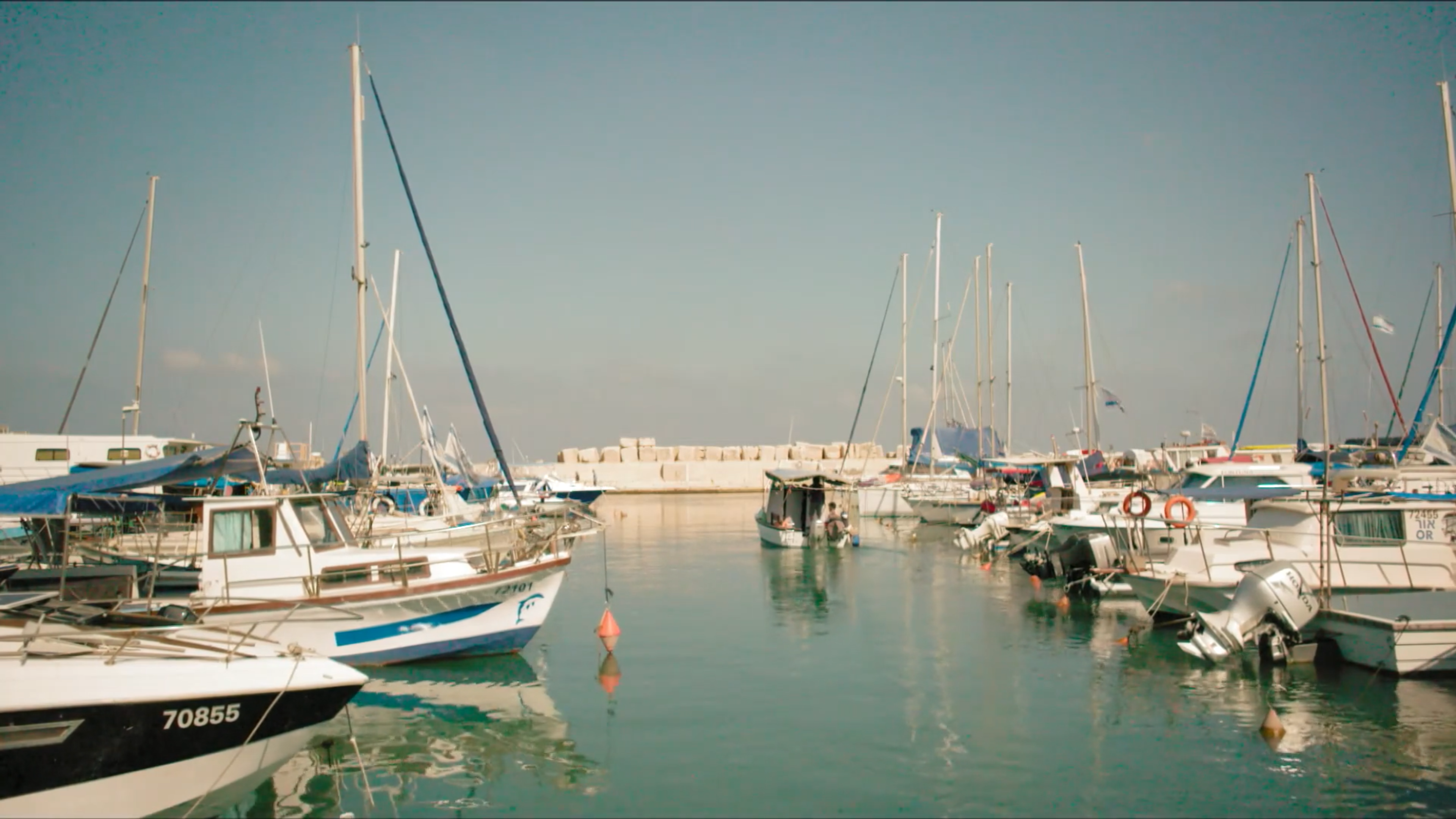 DUMB - Season 3, Episode 1 (50) 