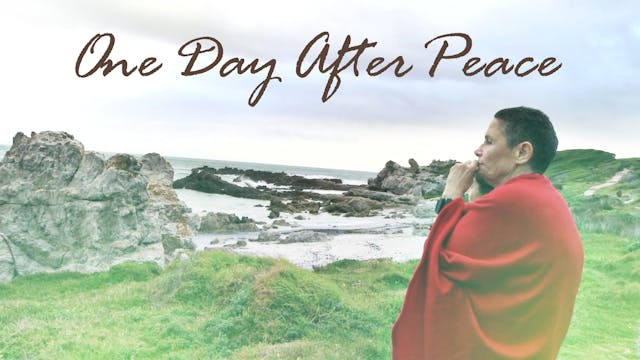 One Day After Peace 