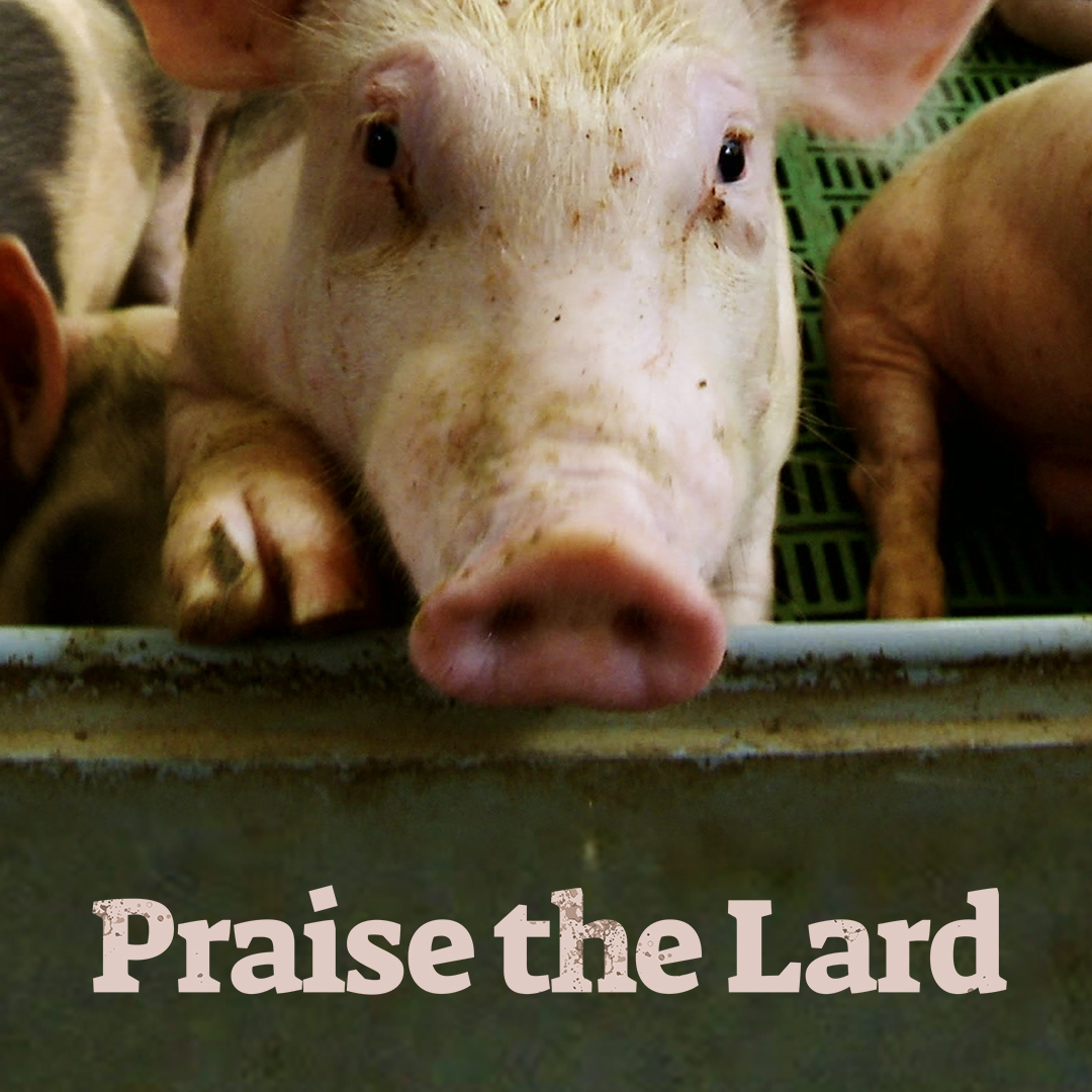 Praise the Lard
