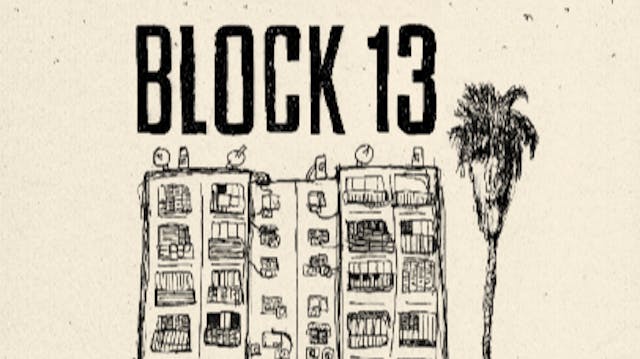 Block 13