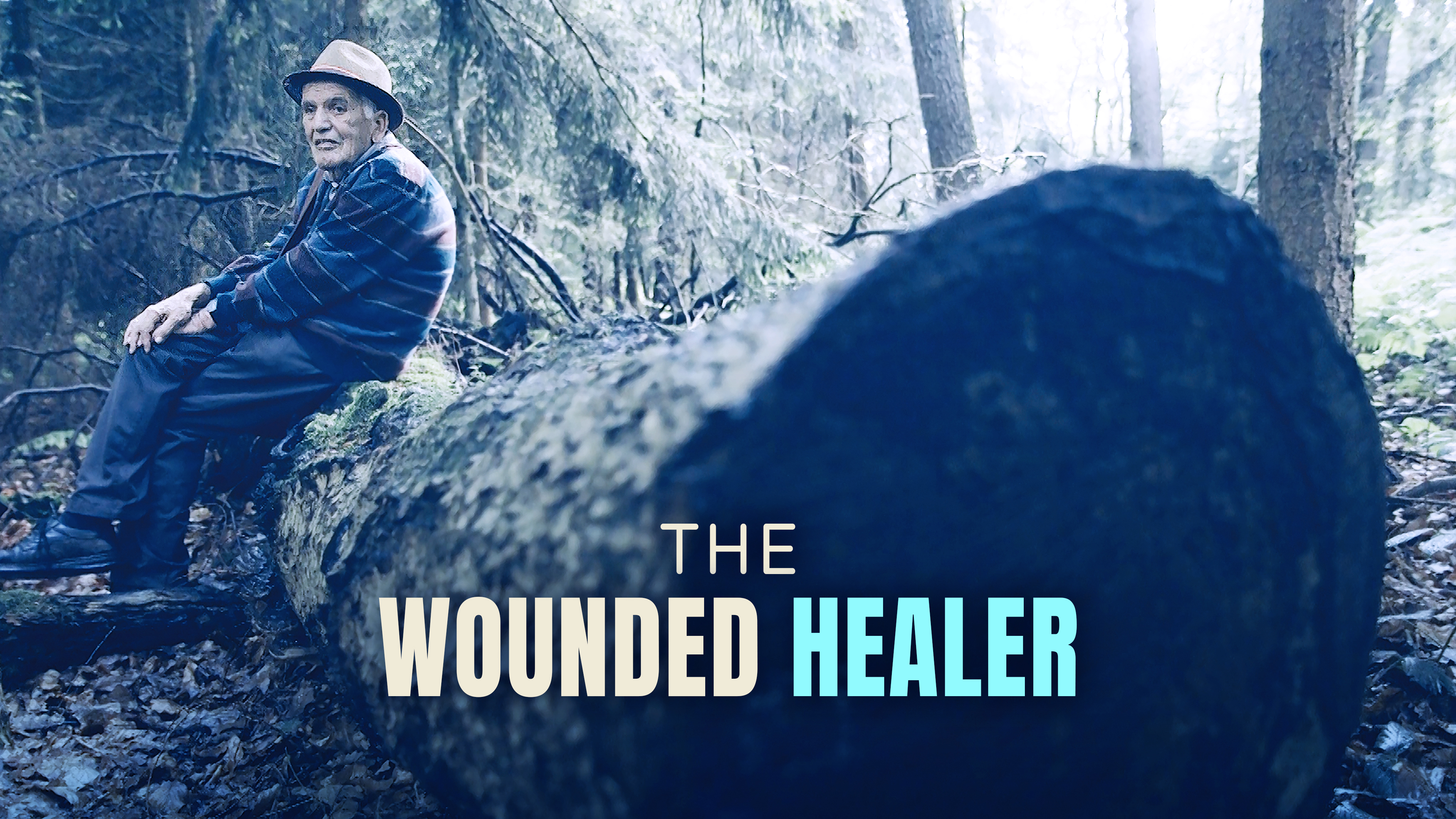 The Wounded Healer