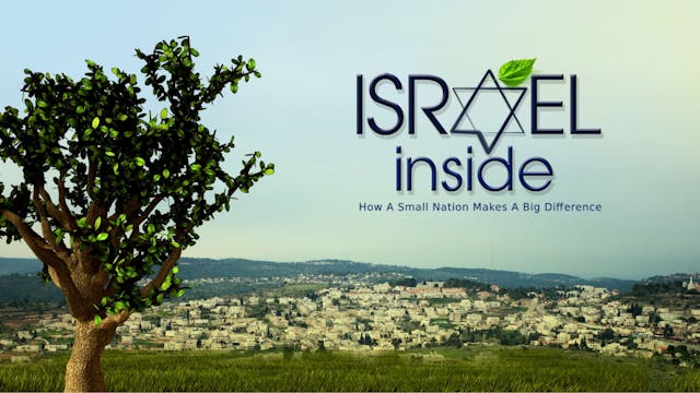 Israel Inside