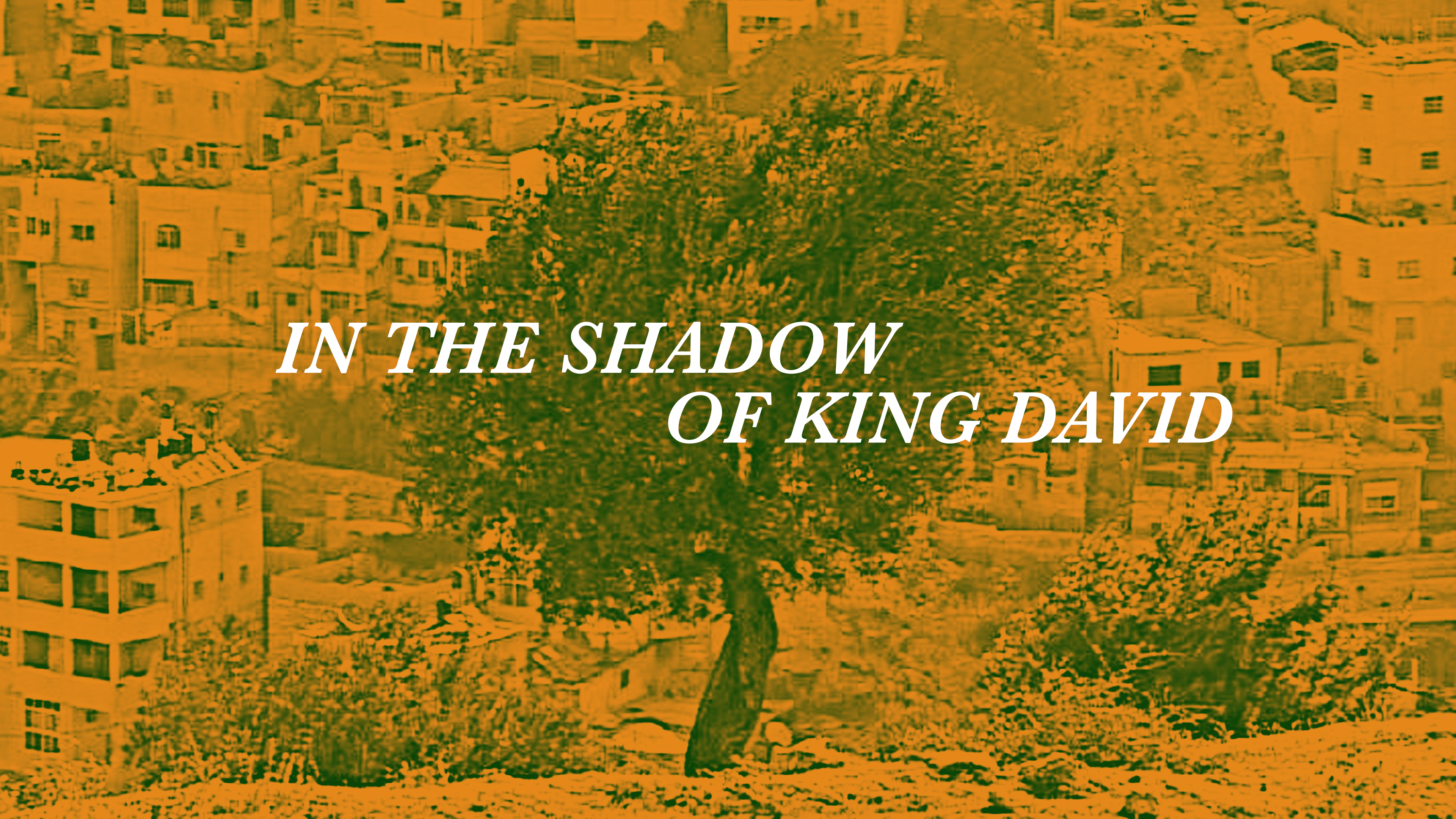 In the Shadow of King David