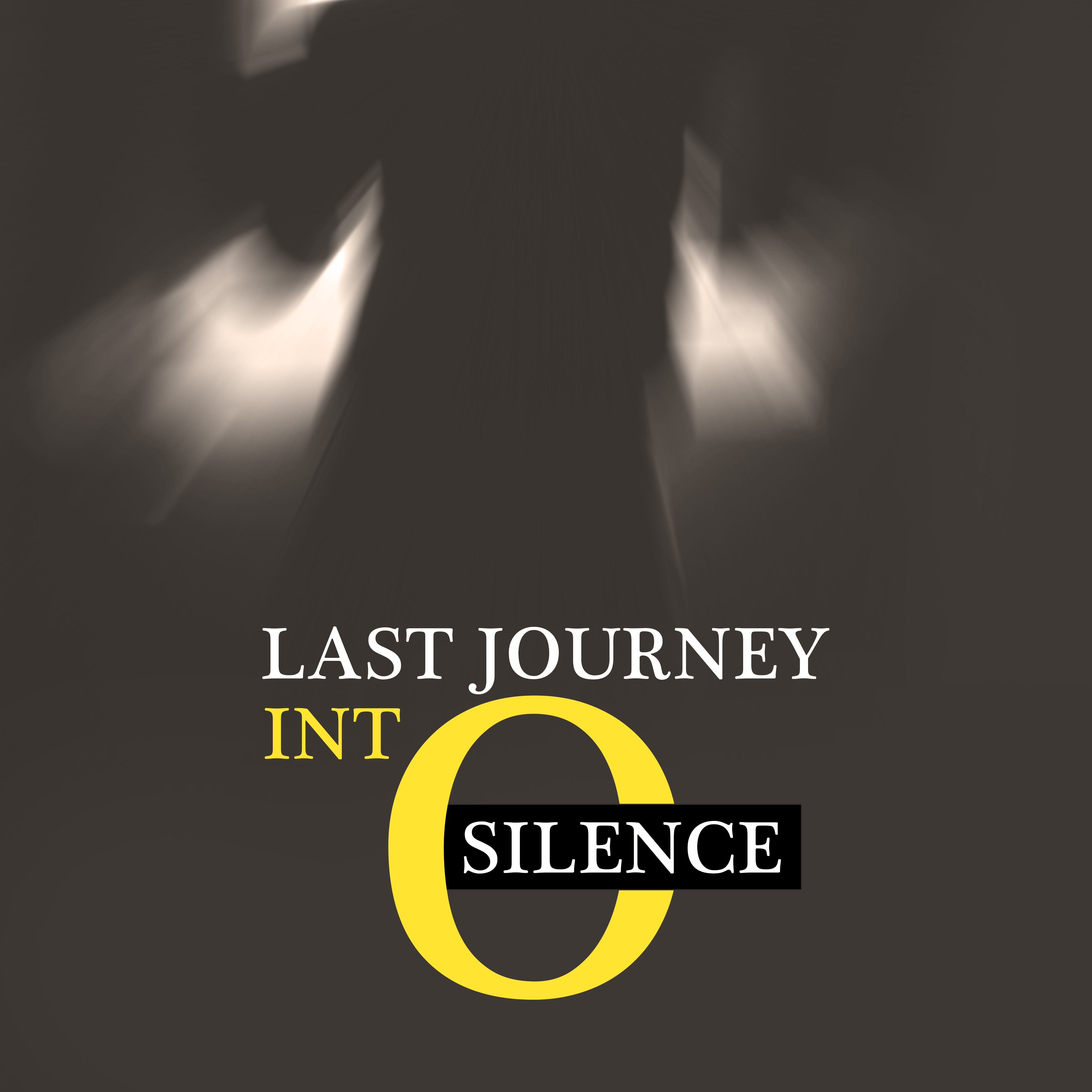 Last Journey Into Silence