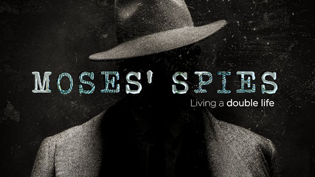 Trailer - Moses Spies
