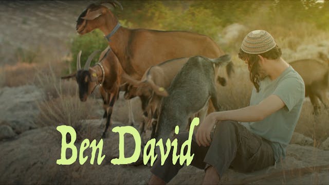 Ben David