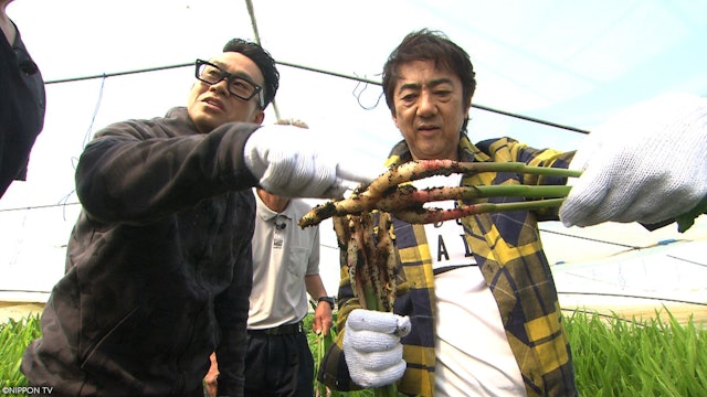 S1E399: Dining★Al Fresco