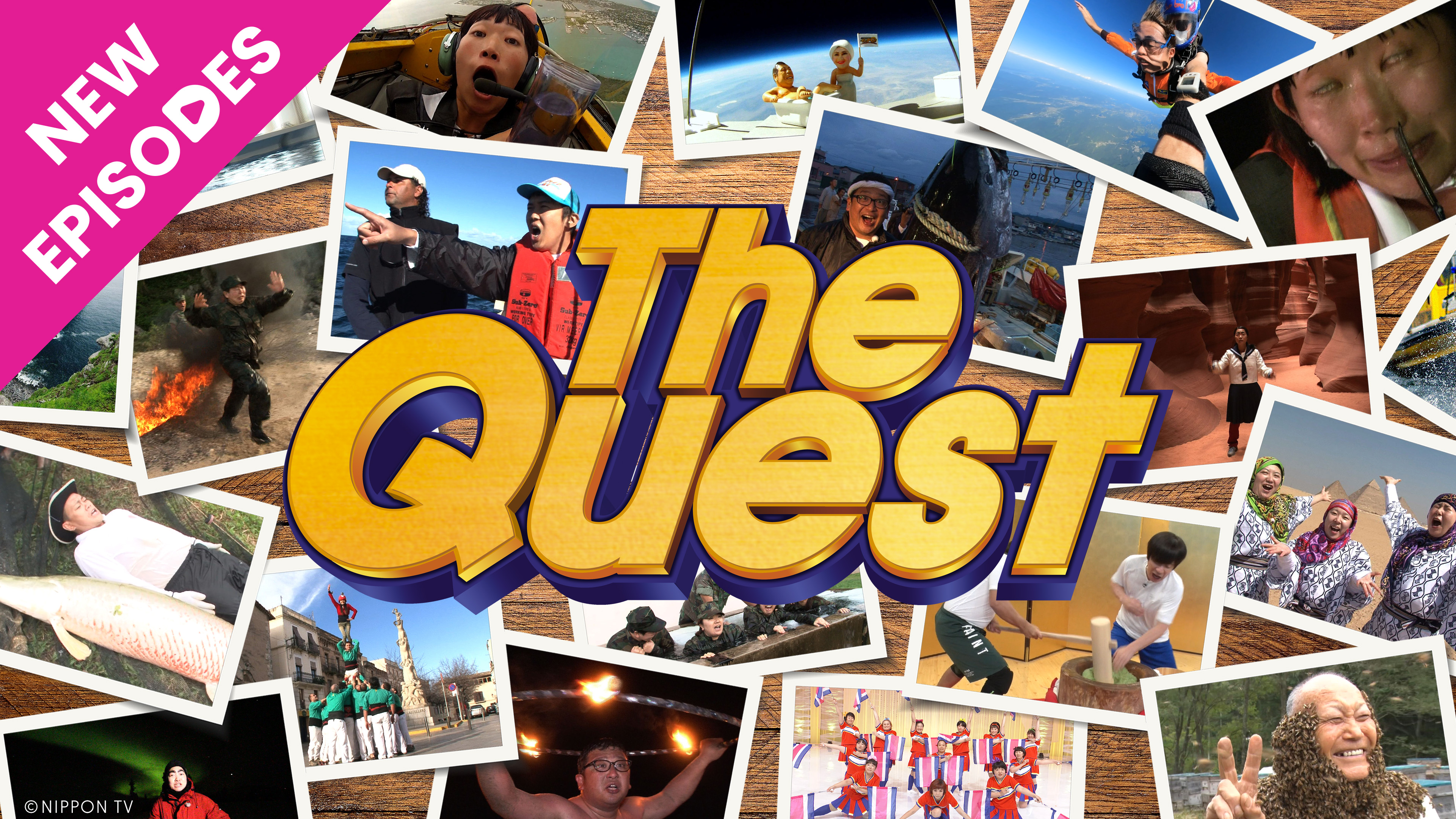 The Quest - New Episodes