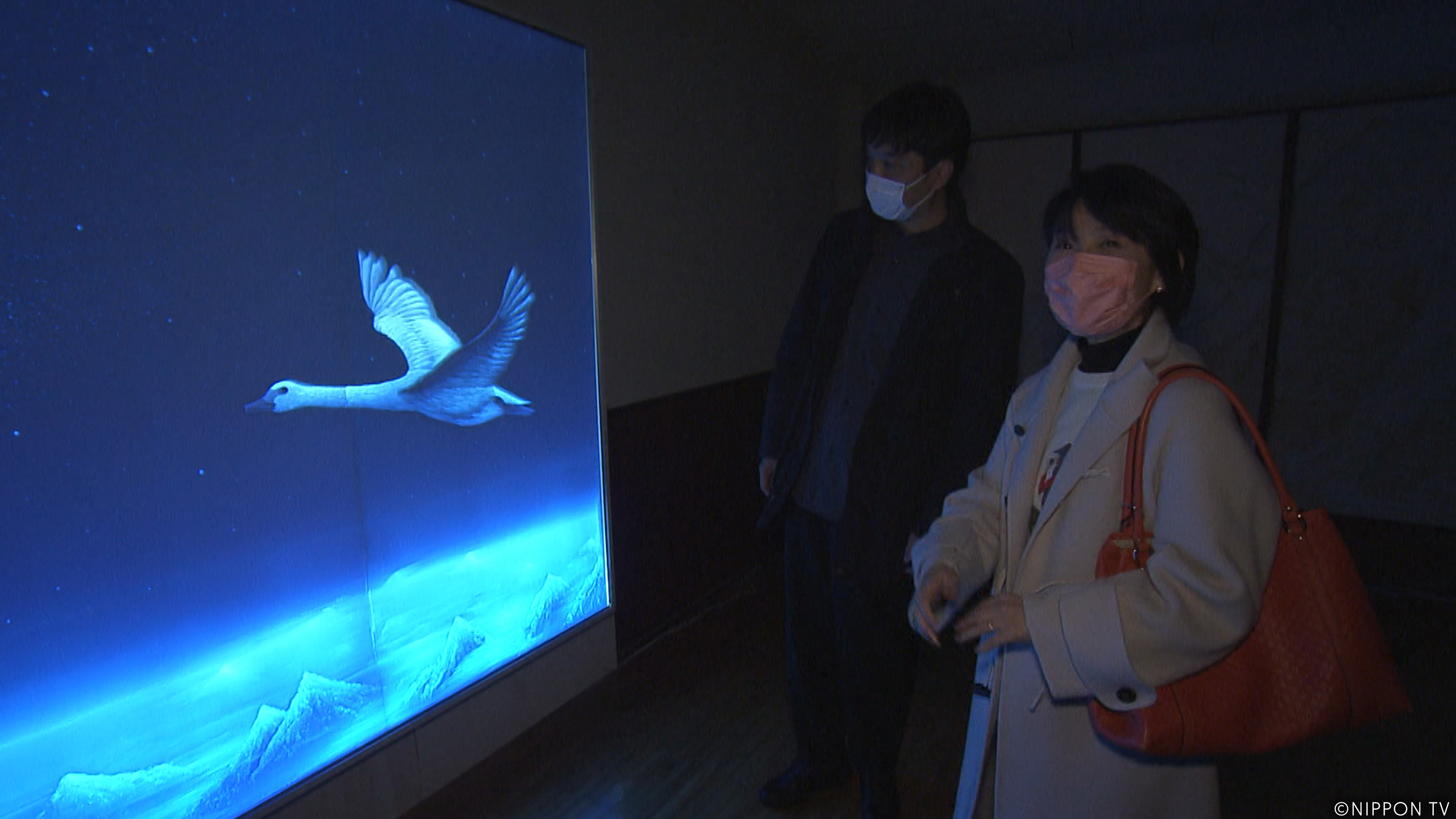 S1E472: NEXT STOP, DISCOVERY