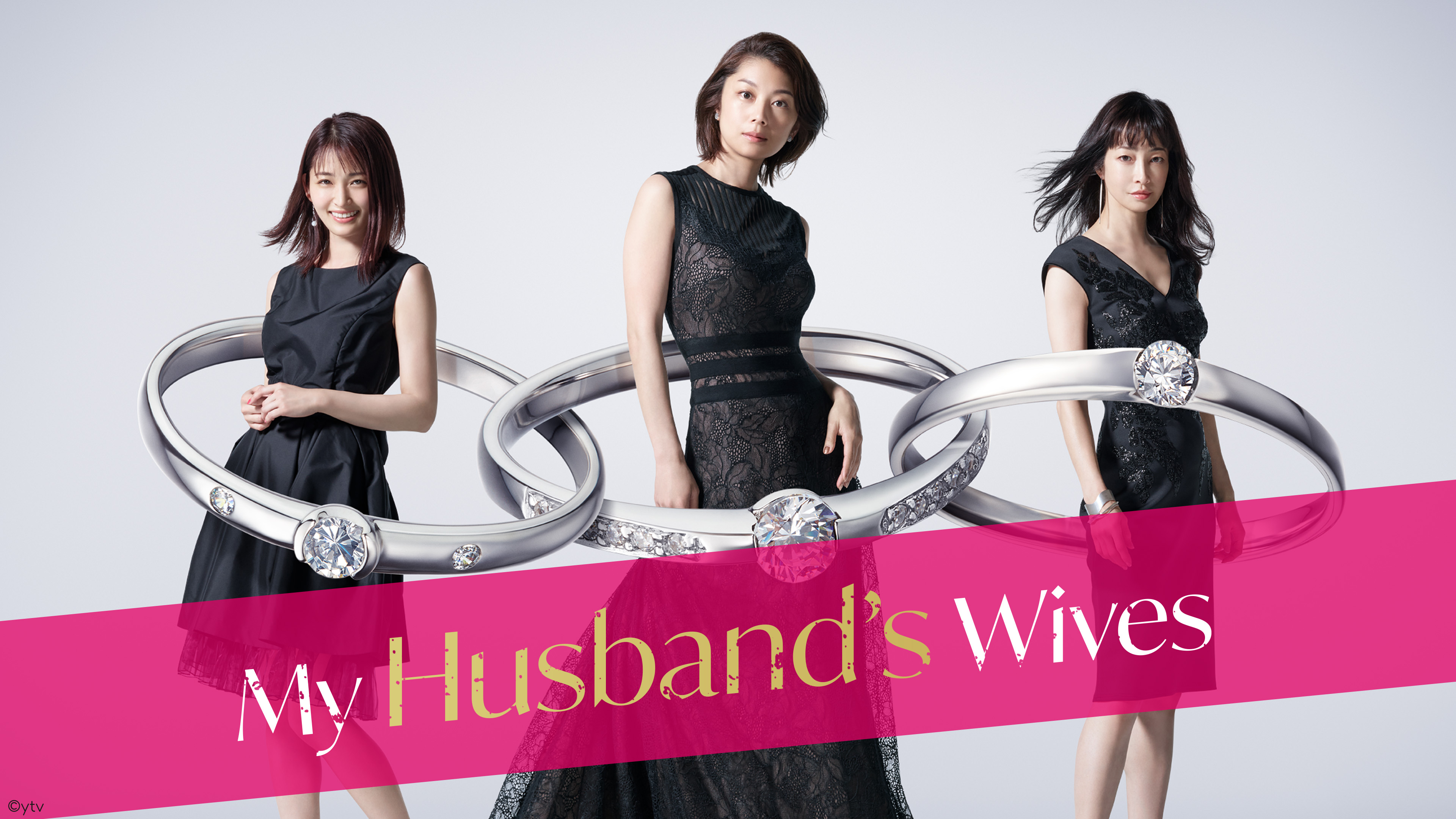My Husband's Wives