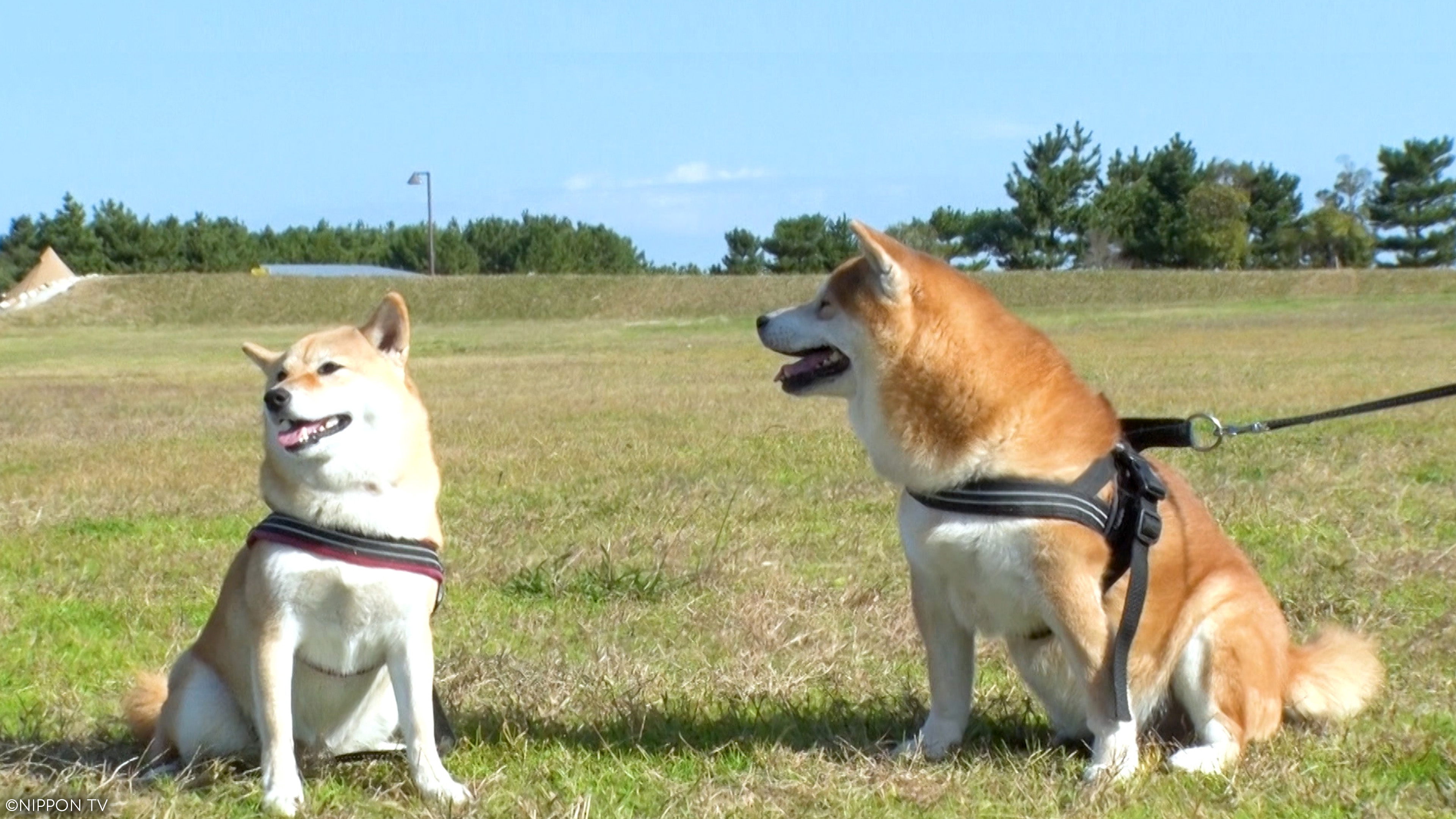 S1SP2-2: I LOVE Everyone's Zoo