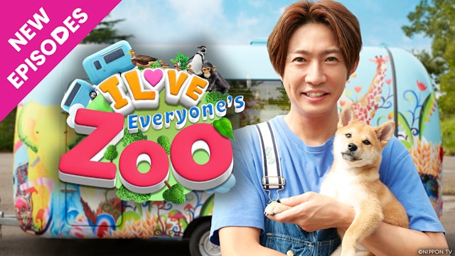 I LOVE Everyone's Zoo - New Episodes