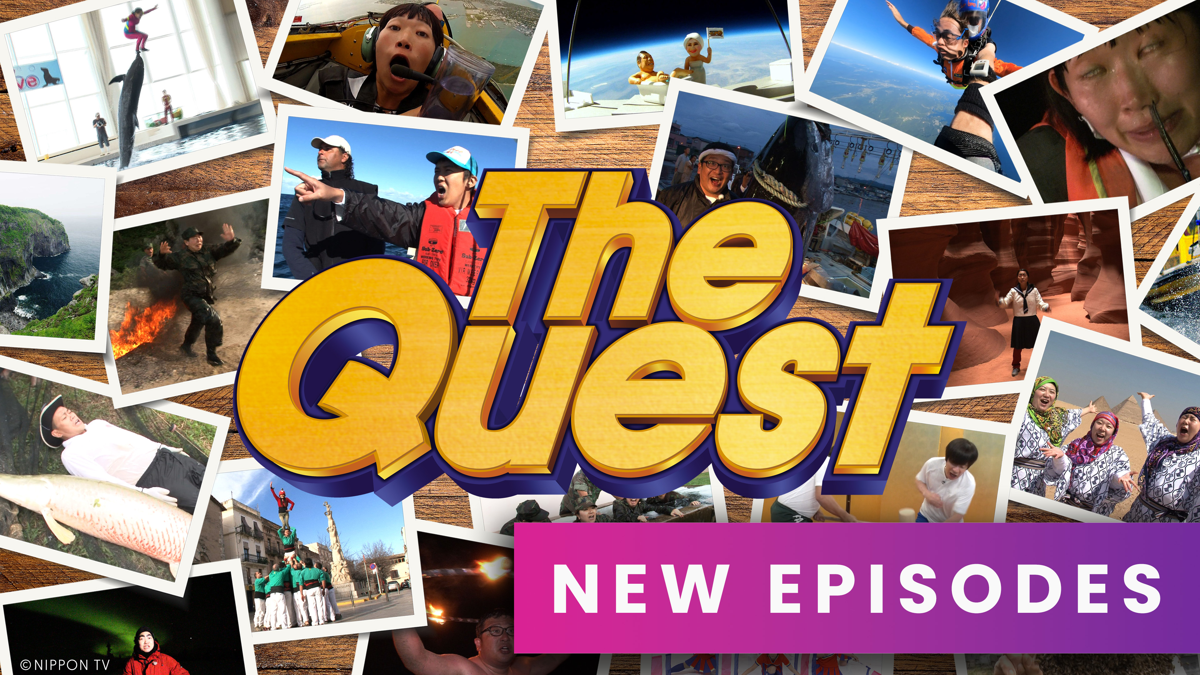 The Quest - New Episodes