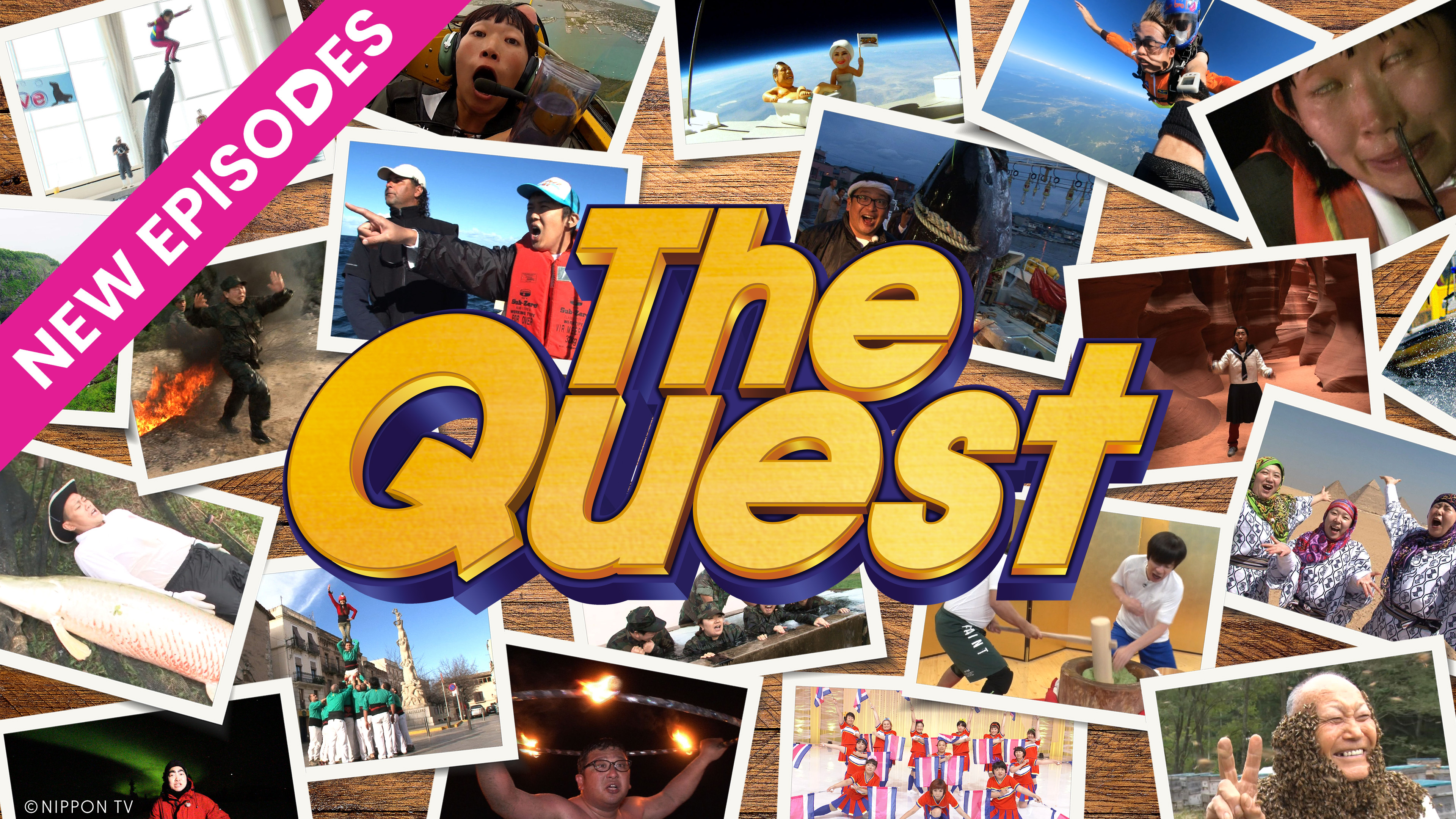 The Quest - New Episodes