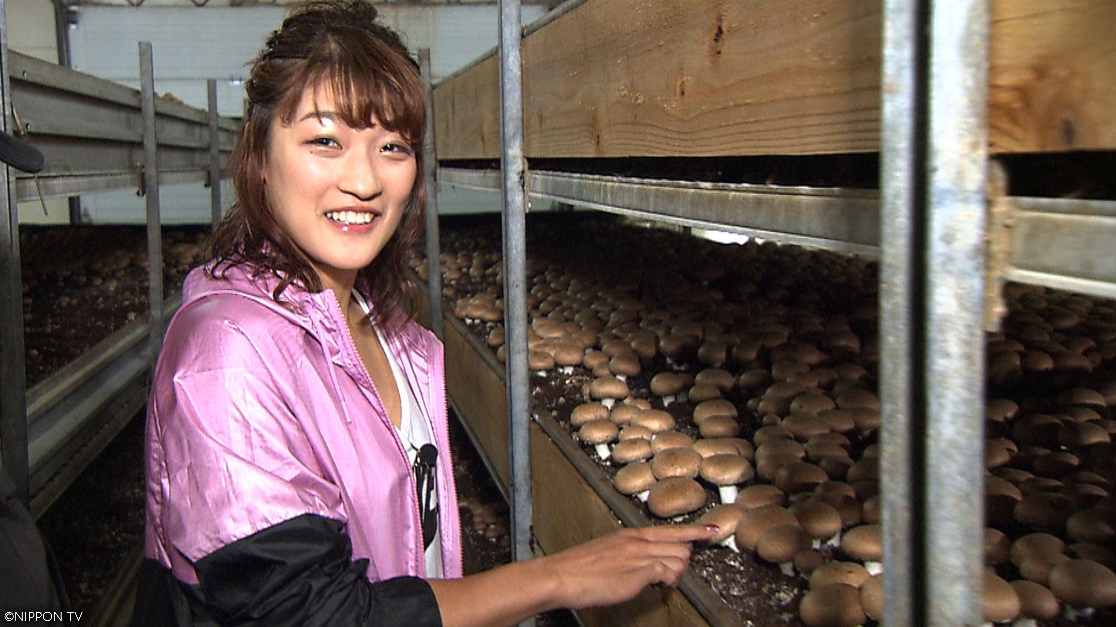 S1E412: Dining★Al Fresco