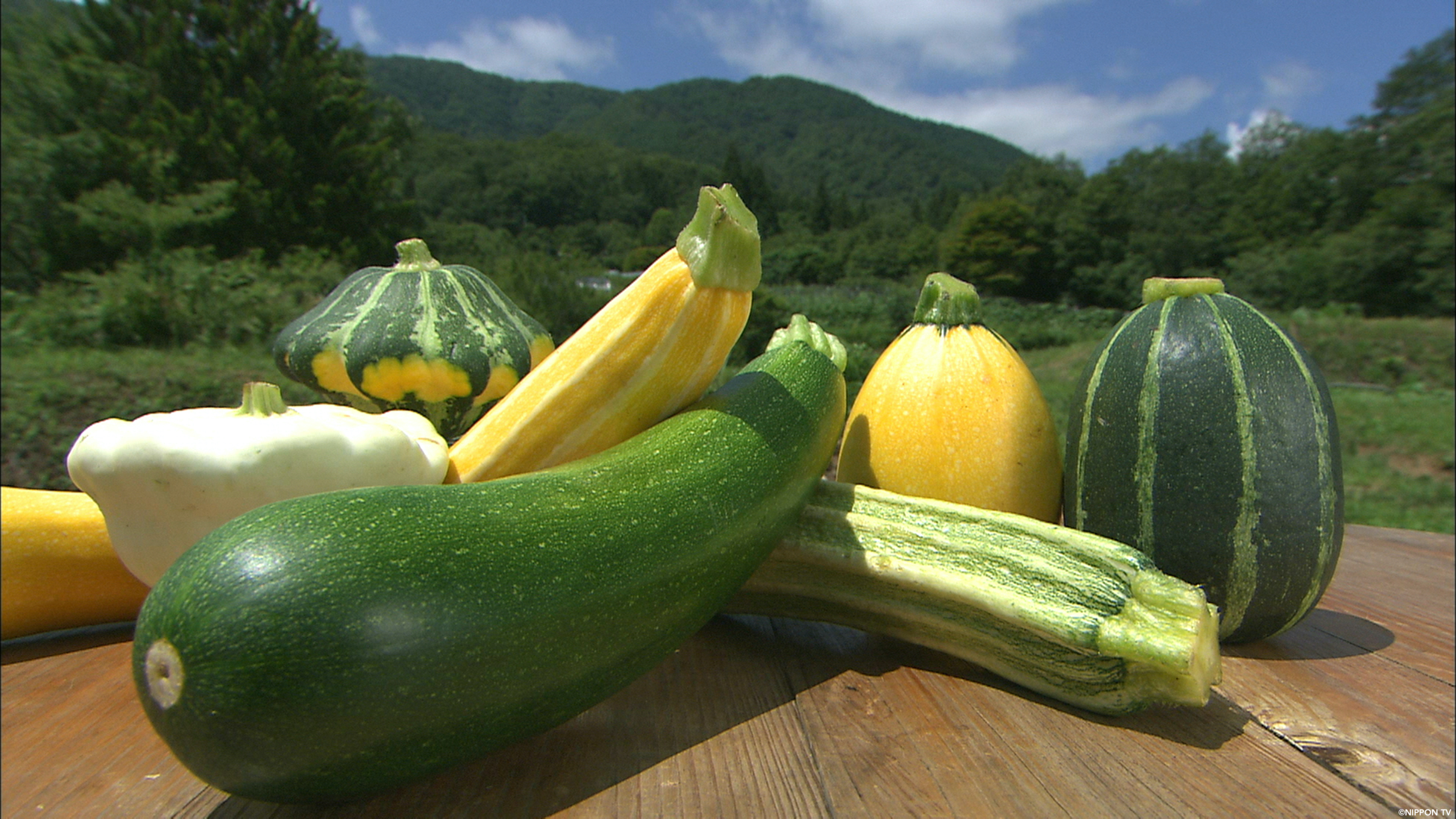 S1E268: Dining★Al Fresco