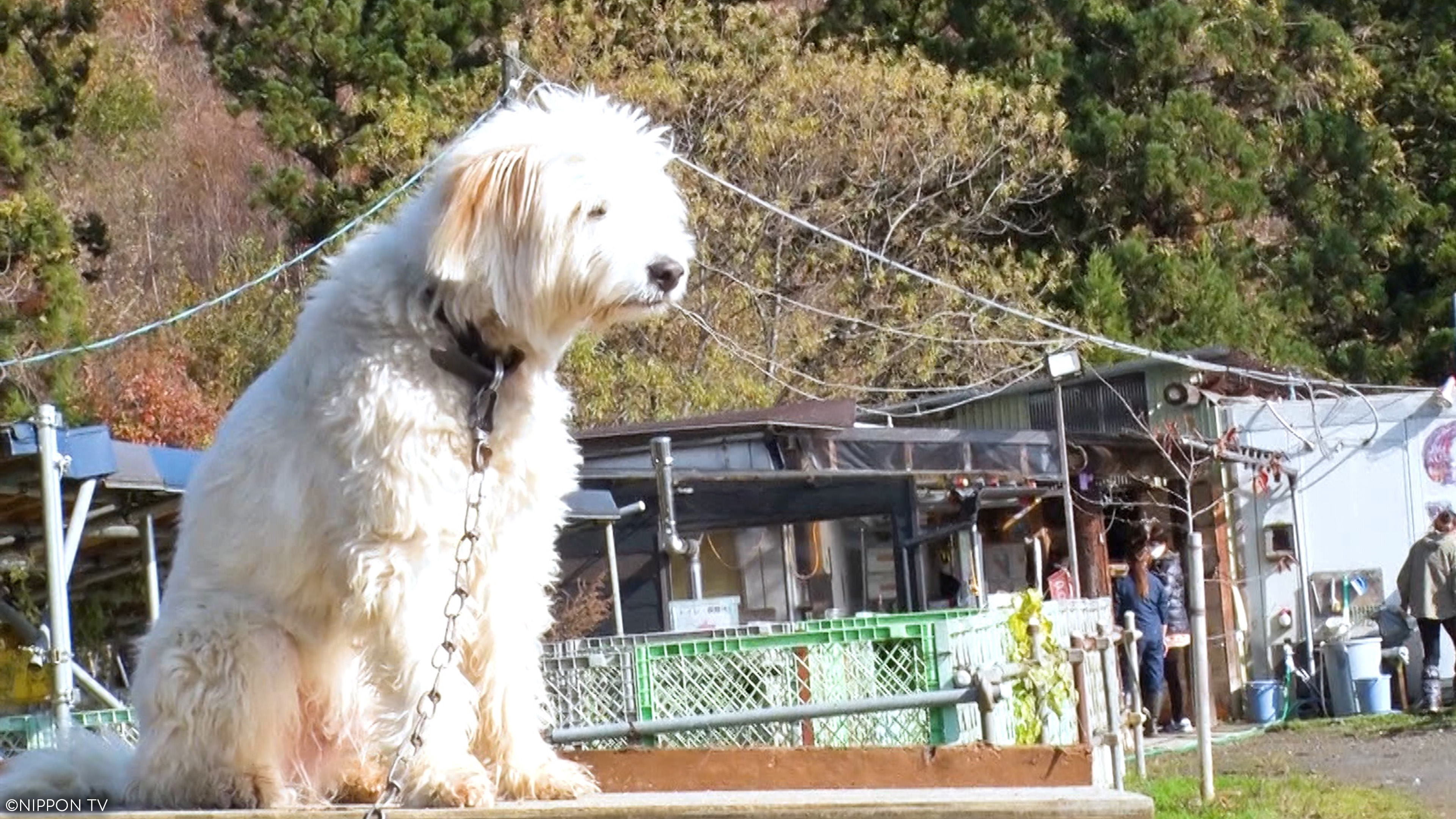  S1E7: I LOVE Everyone's Zoo