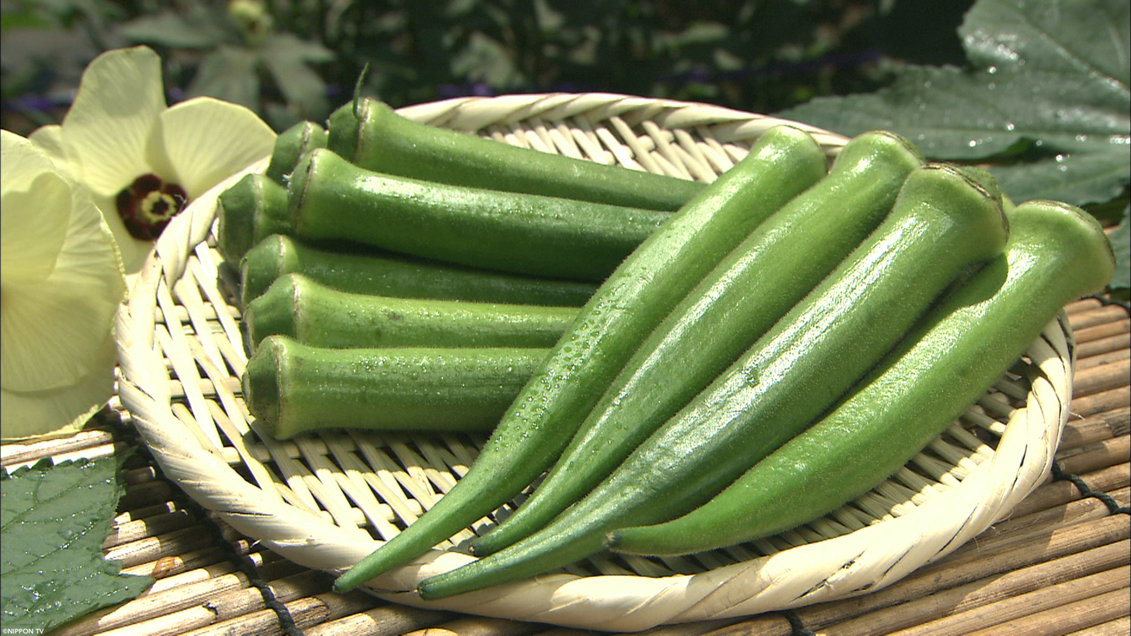 S1E269: Dining★Al Fresco