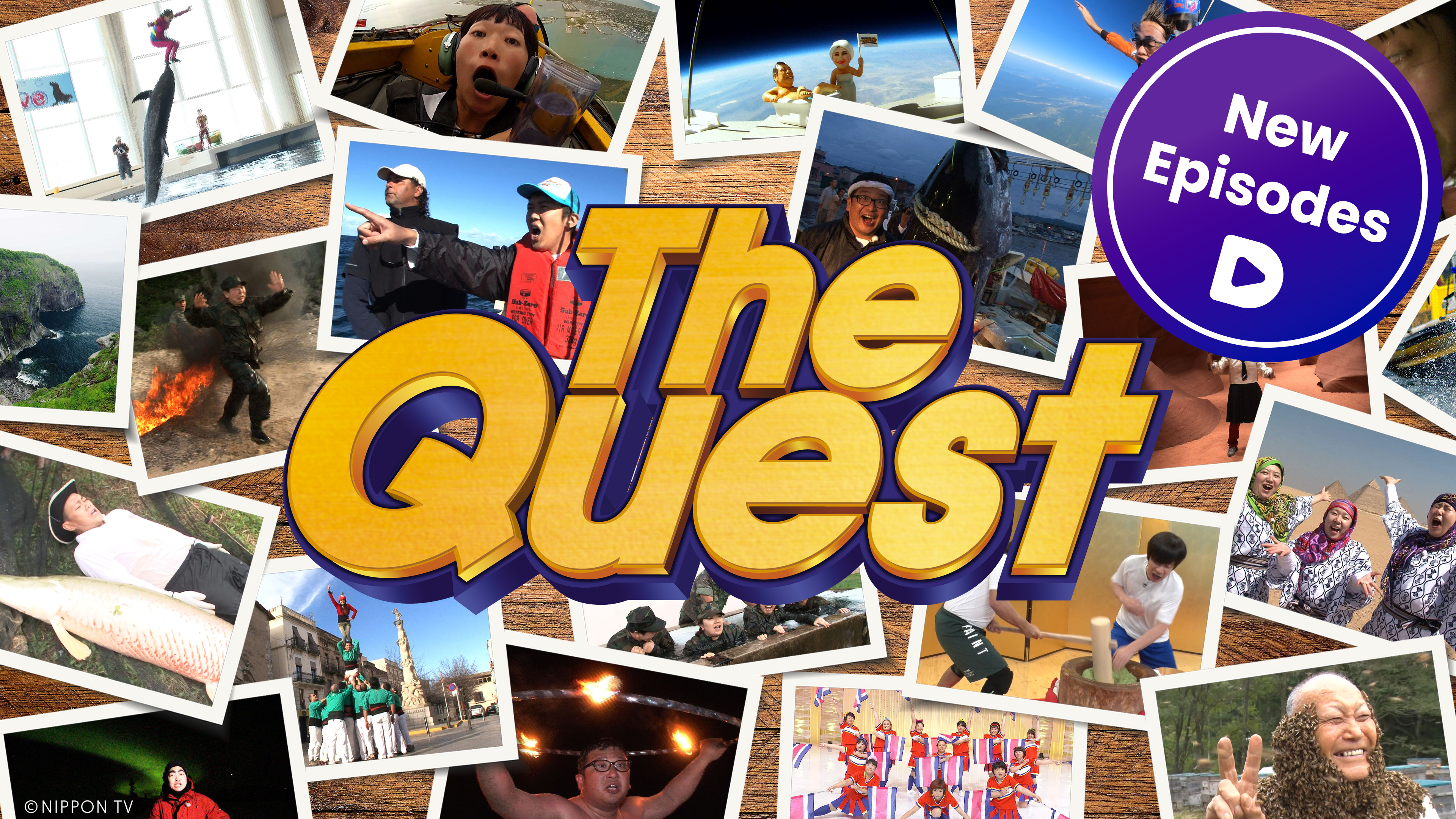 The Quest - New Episodes