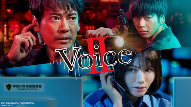 Voice II