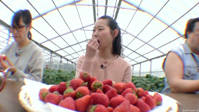 S1E93: ARIYOSHI SEMINAR