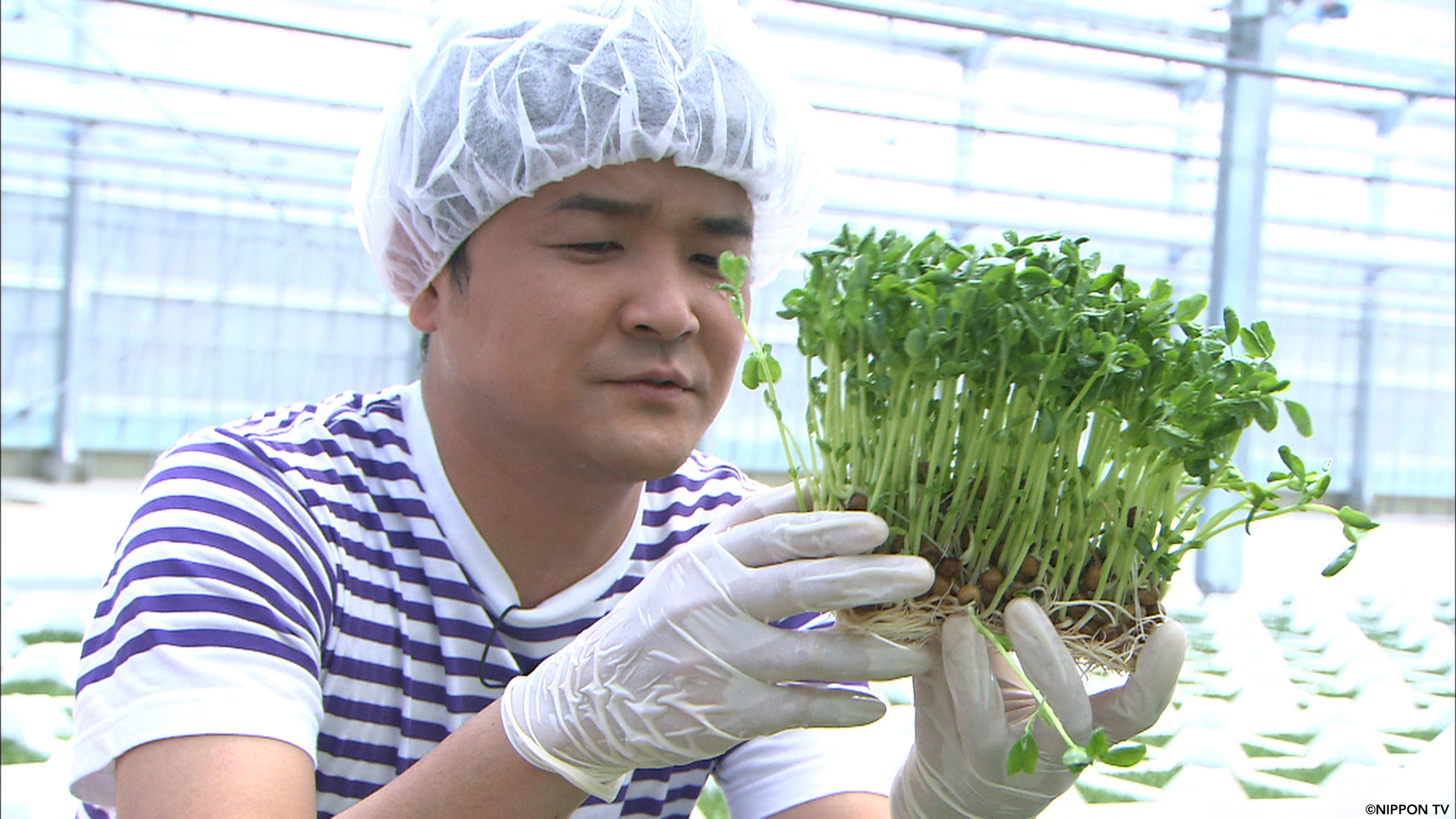 S1E276: Dining★Al Fresco