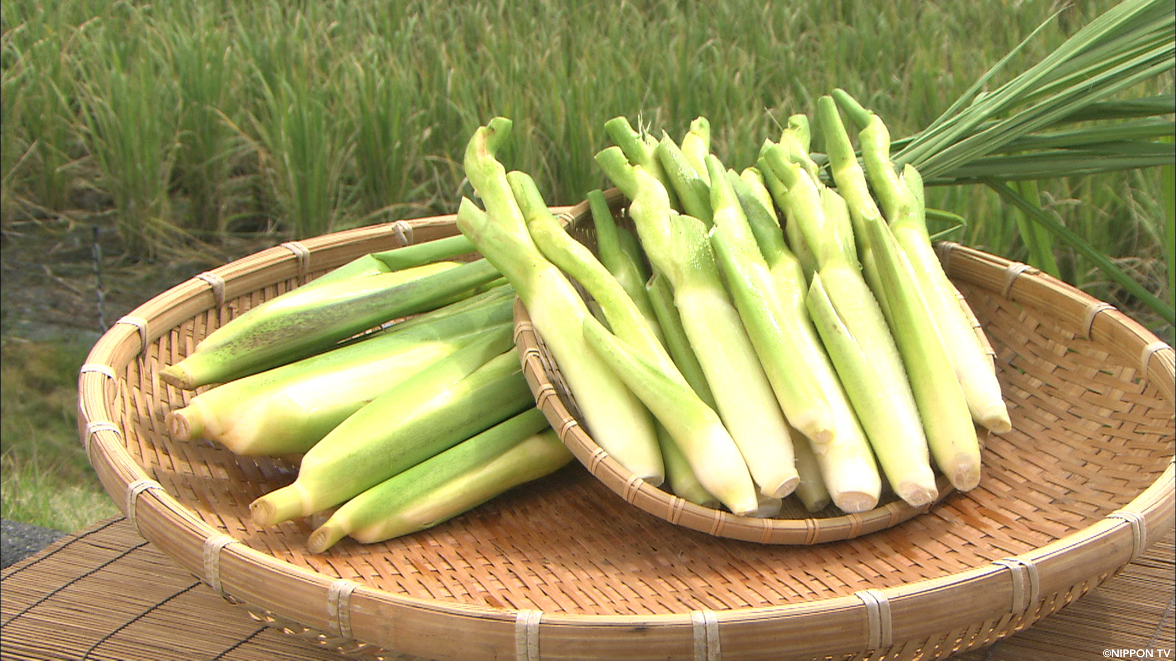 S1E279: Dining★Al Fresco